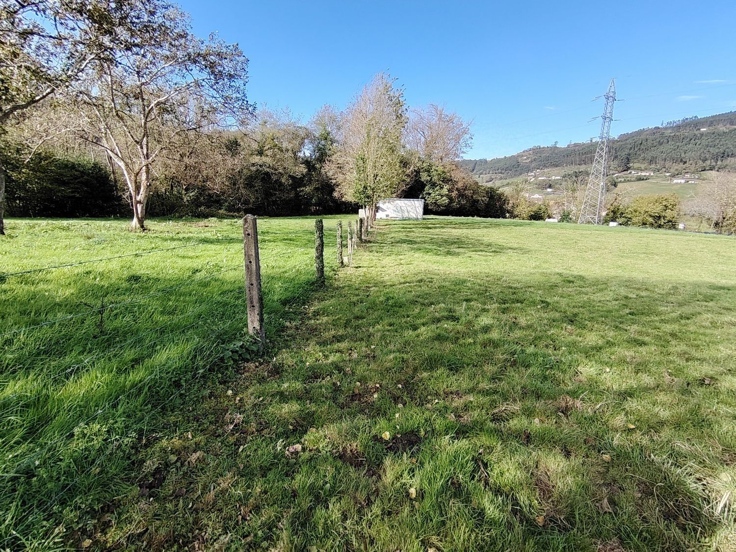 Fincas y solares-Venta-Villaviciosa-1974848-Foto-6