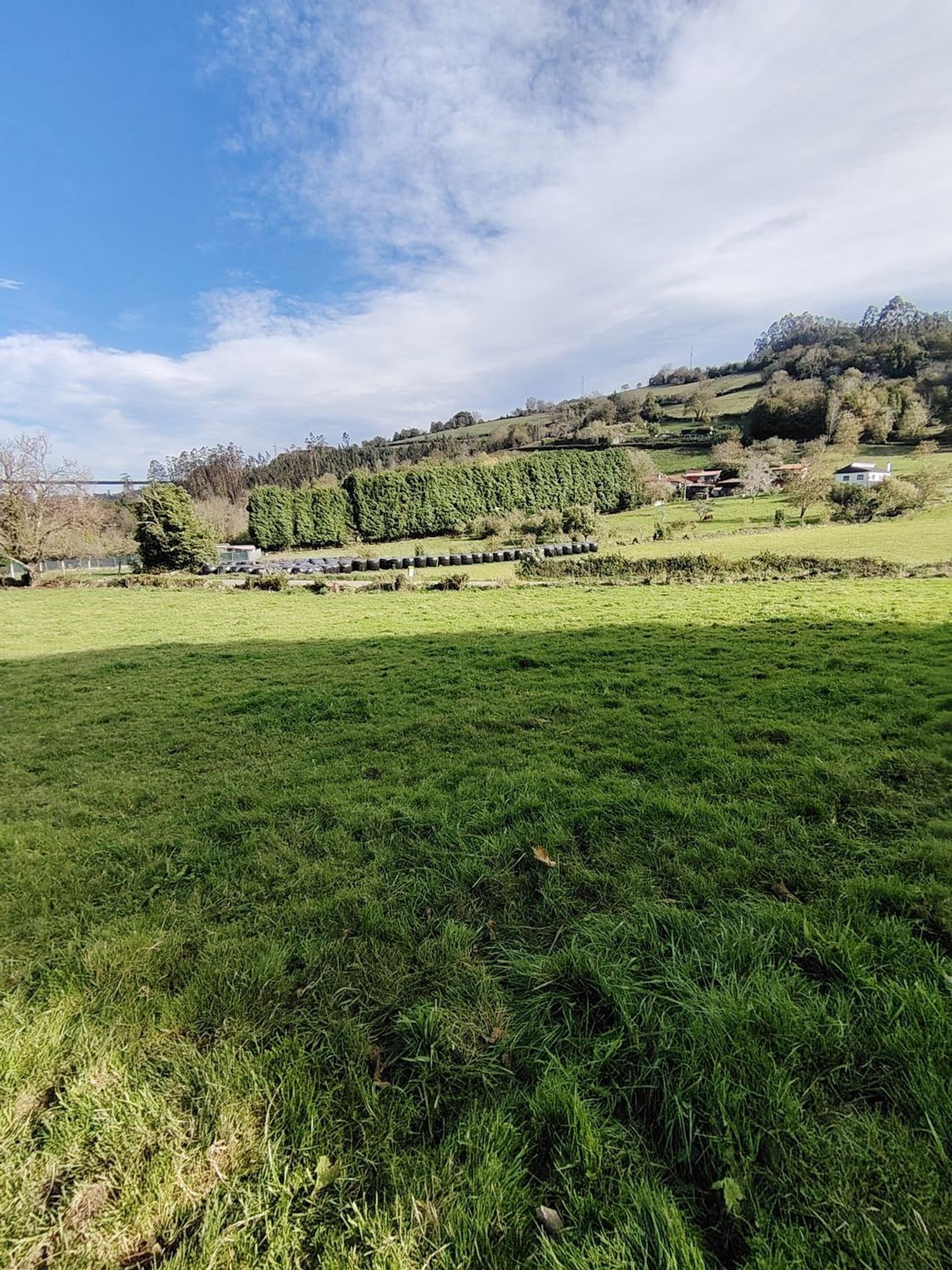 Fincas y solares-Venta-Villaviciosa-1974848-Foto-10