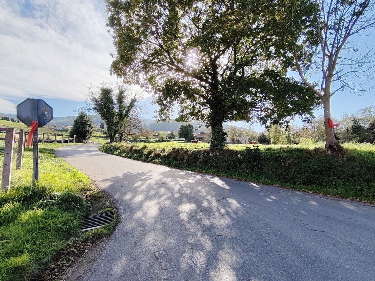 Fincas y solares-Venta-Villaviciosa-1974848-Foto-17