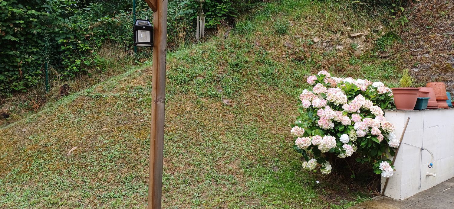 Casas o chalets-Venta-San MartÃ­n del Rey Aurelio-1768417-Foto-60