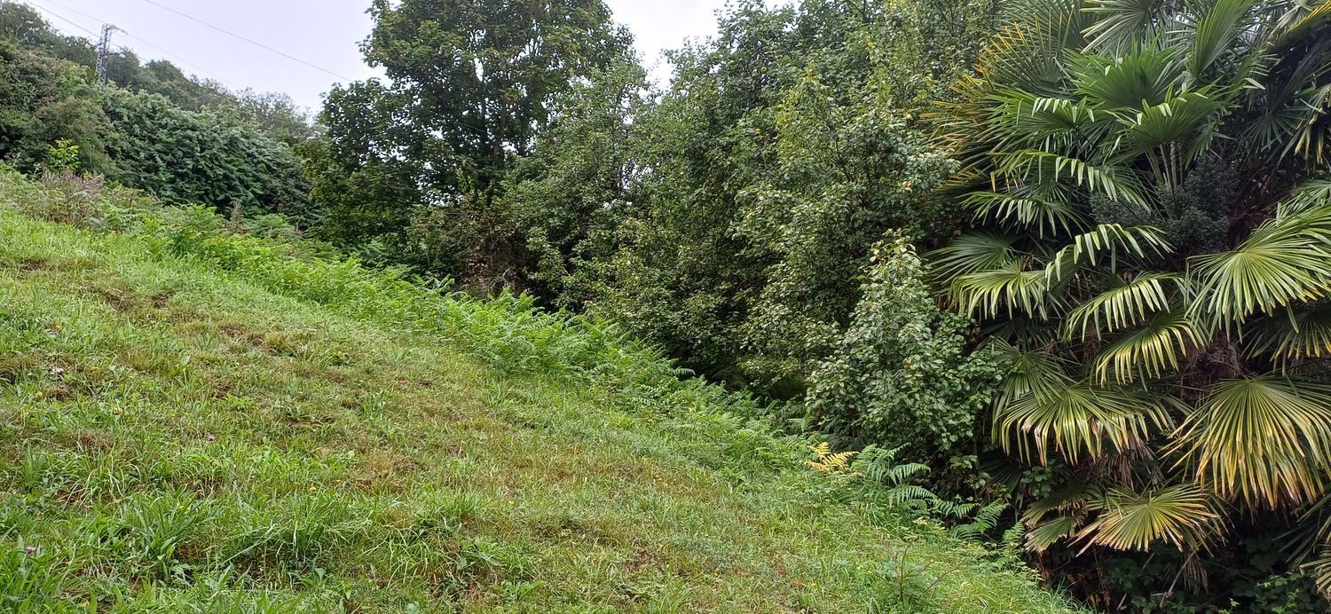 Casas o chalets-Venta-San MartÃ­n del Rey Aurelio-1768417-Foto-63