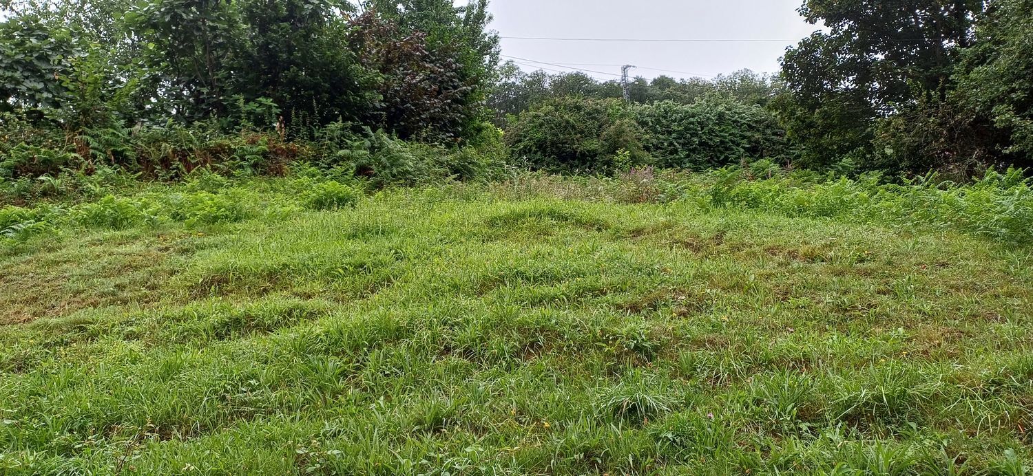 Casas o chalets-Venta-San MartÃ­n del Rey Aurelio-1768417-Foto-64