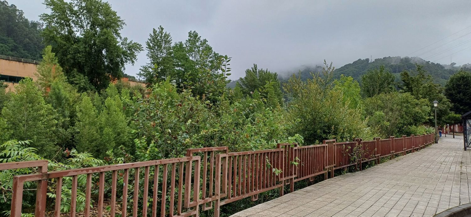 Casas o chalets-Venta-San MartÃ­n del Rey Aurelio-1768417-Foto-74