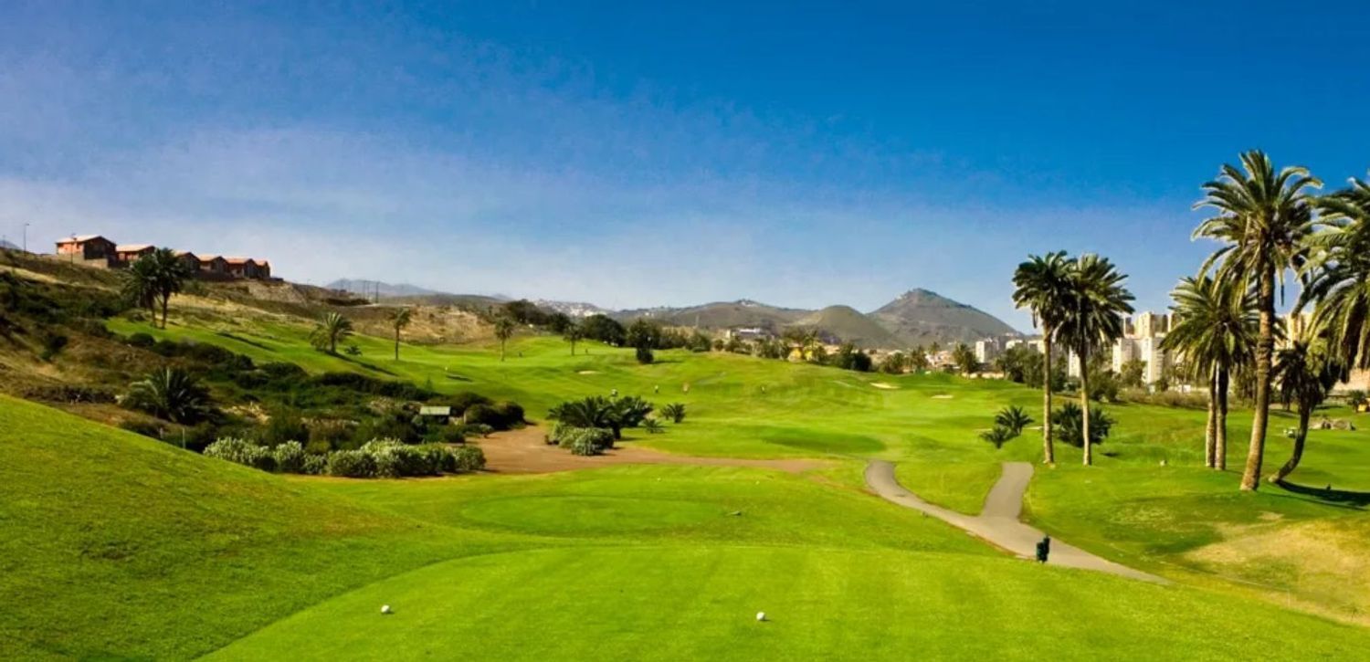 Fincas y solares-Venta-Telde-1743474