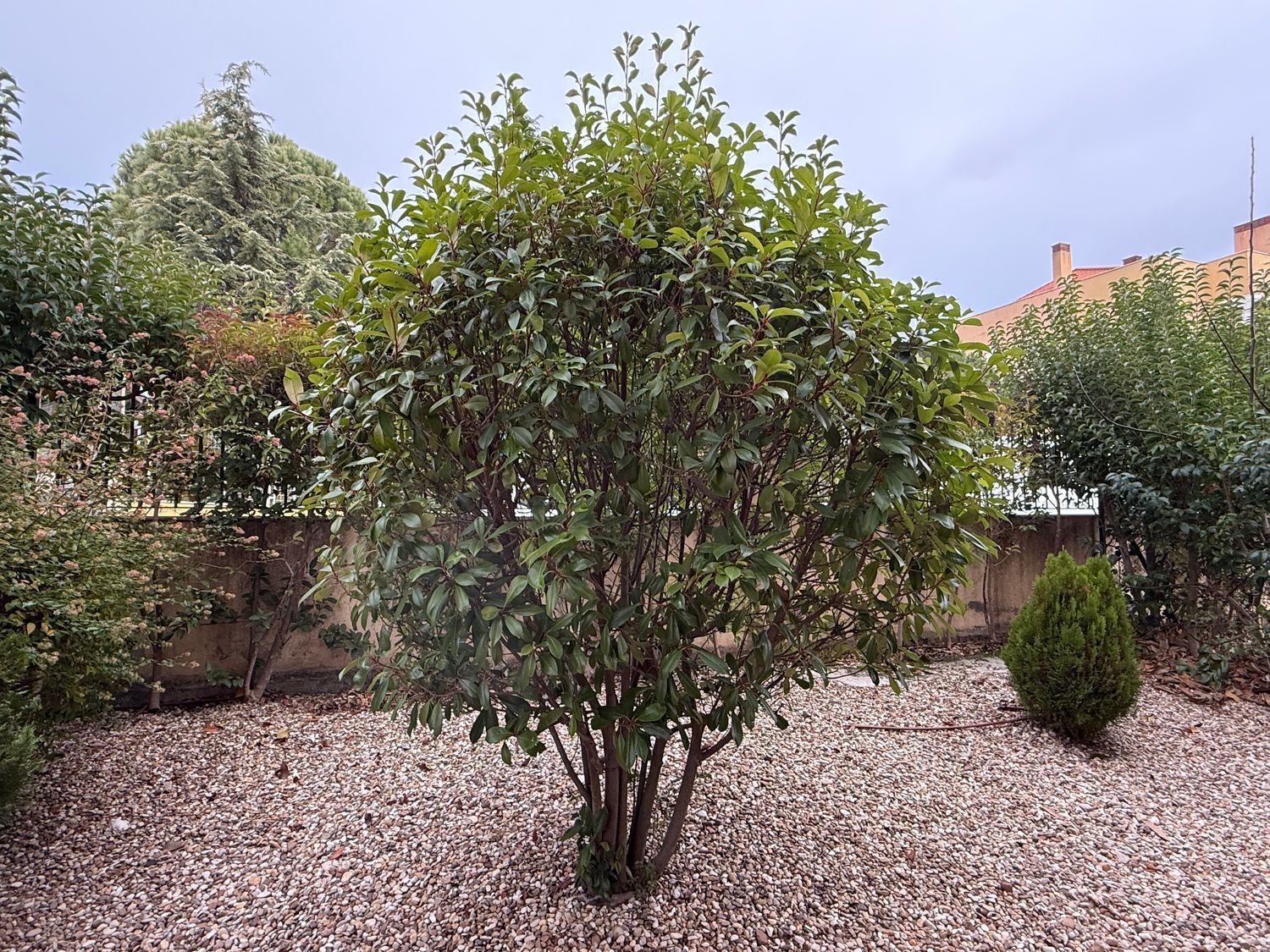 Pisos-Venta-San Lorenzo de El Escorial-2015644-Foto-33