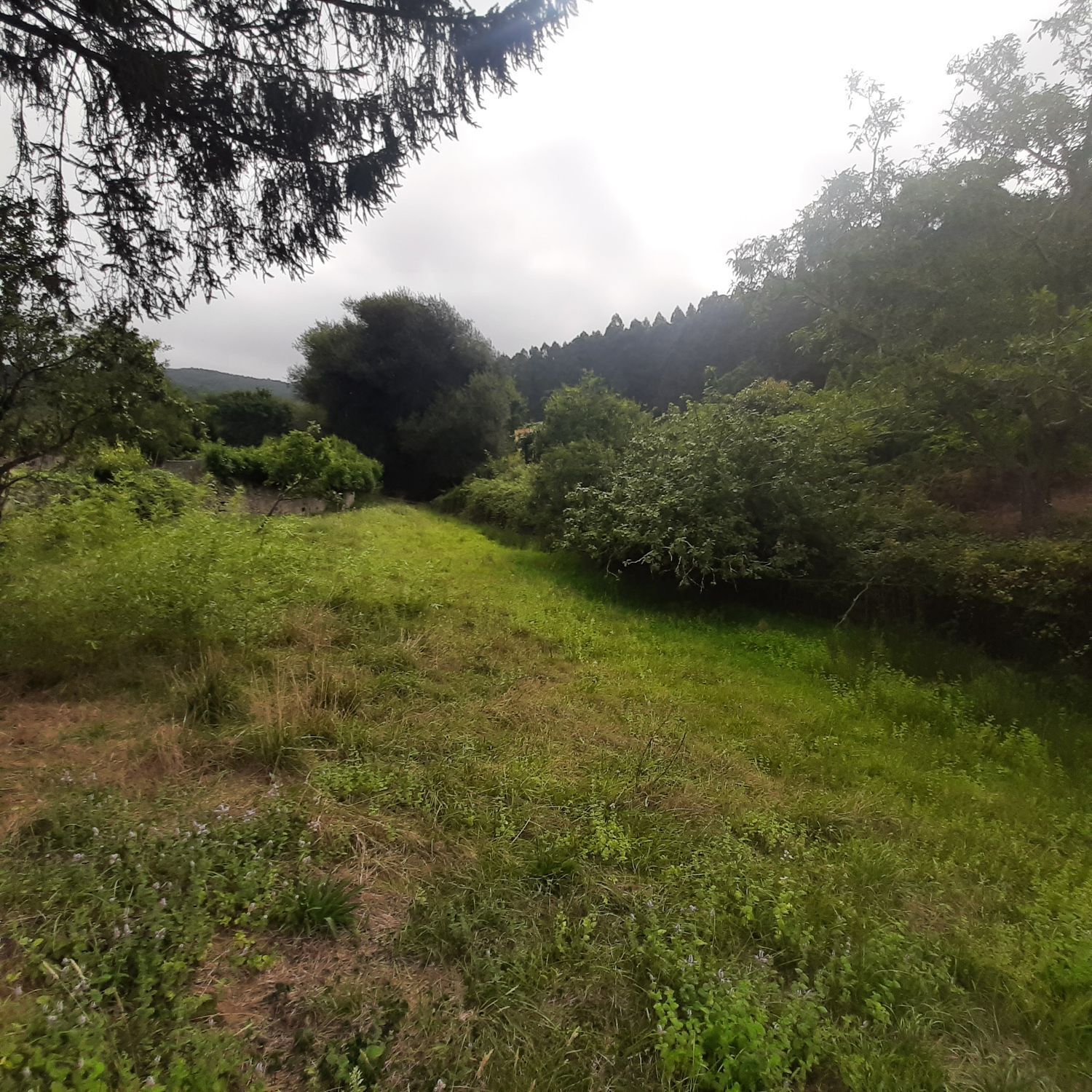 Propiedad en venta en Lugo, Viveiro