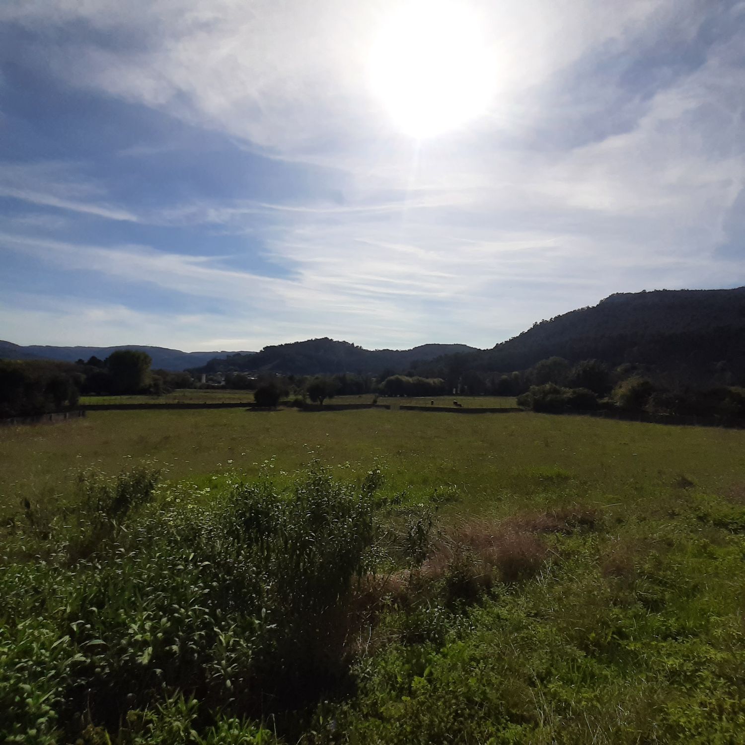 Casas o chalets-Venta-Viveiro-2063107-Foto-28