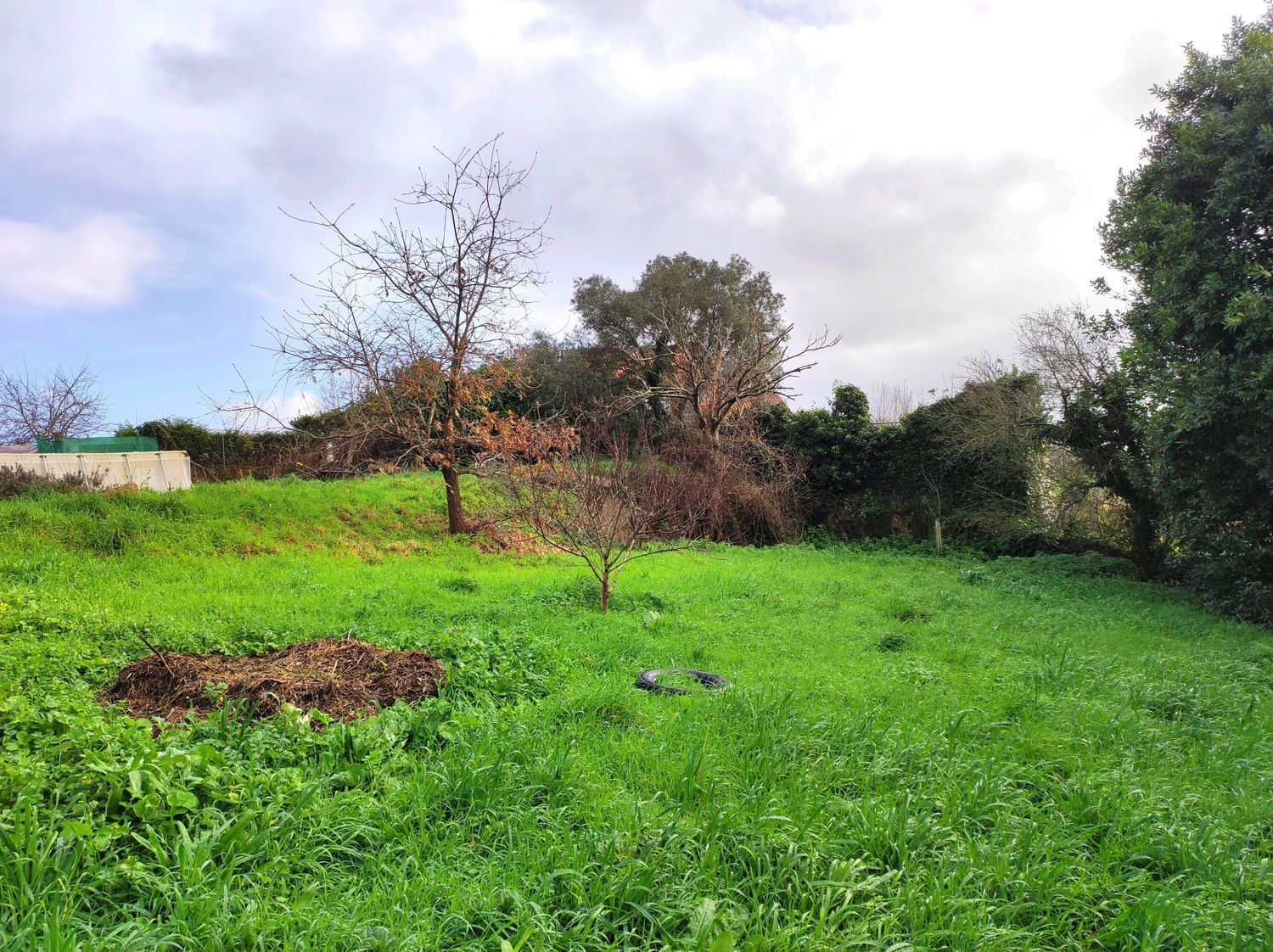 Casas o chalets-Venta-Arteixo-2092436-Foto-12