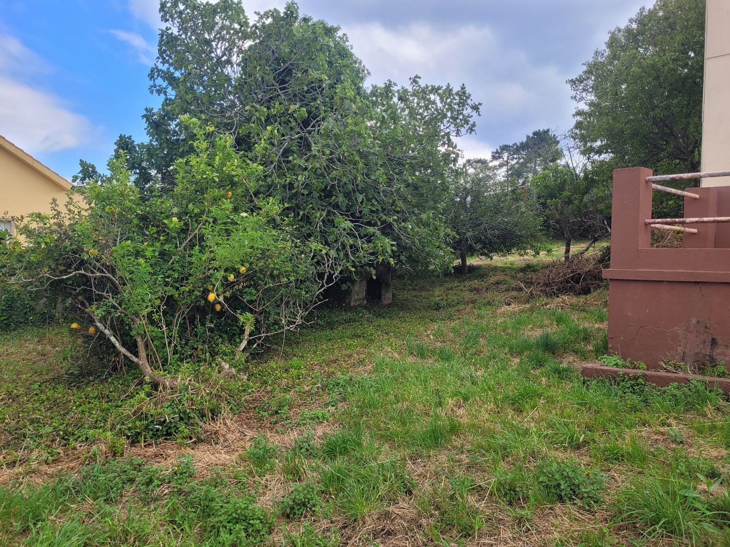 Casas o chalets-Venta-Ribeira-1233184-Foto-39