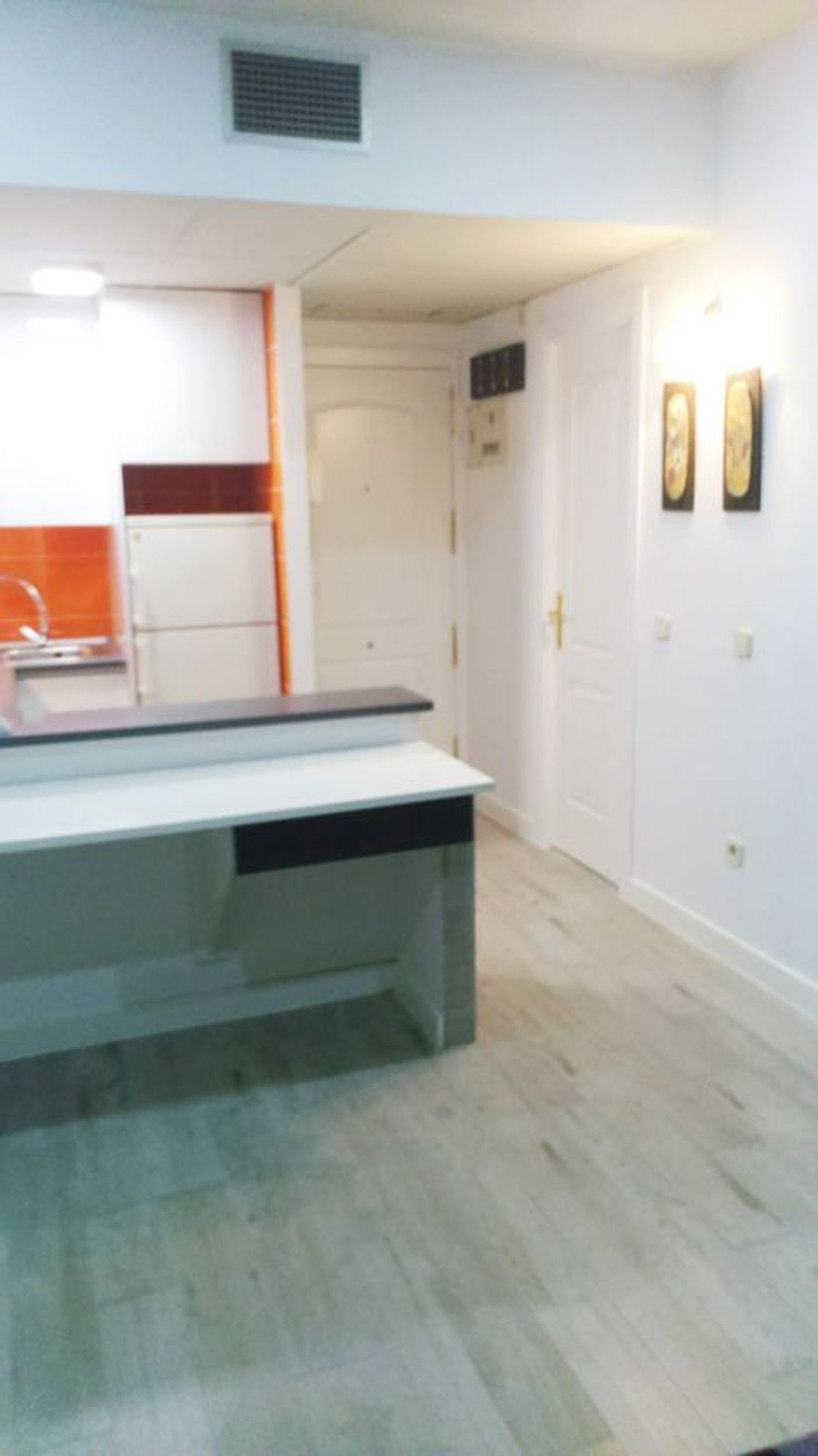 Pisos-Alquiler-Madrid-2092442-Foto-12