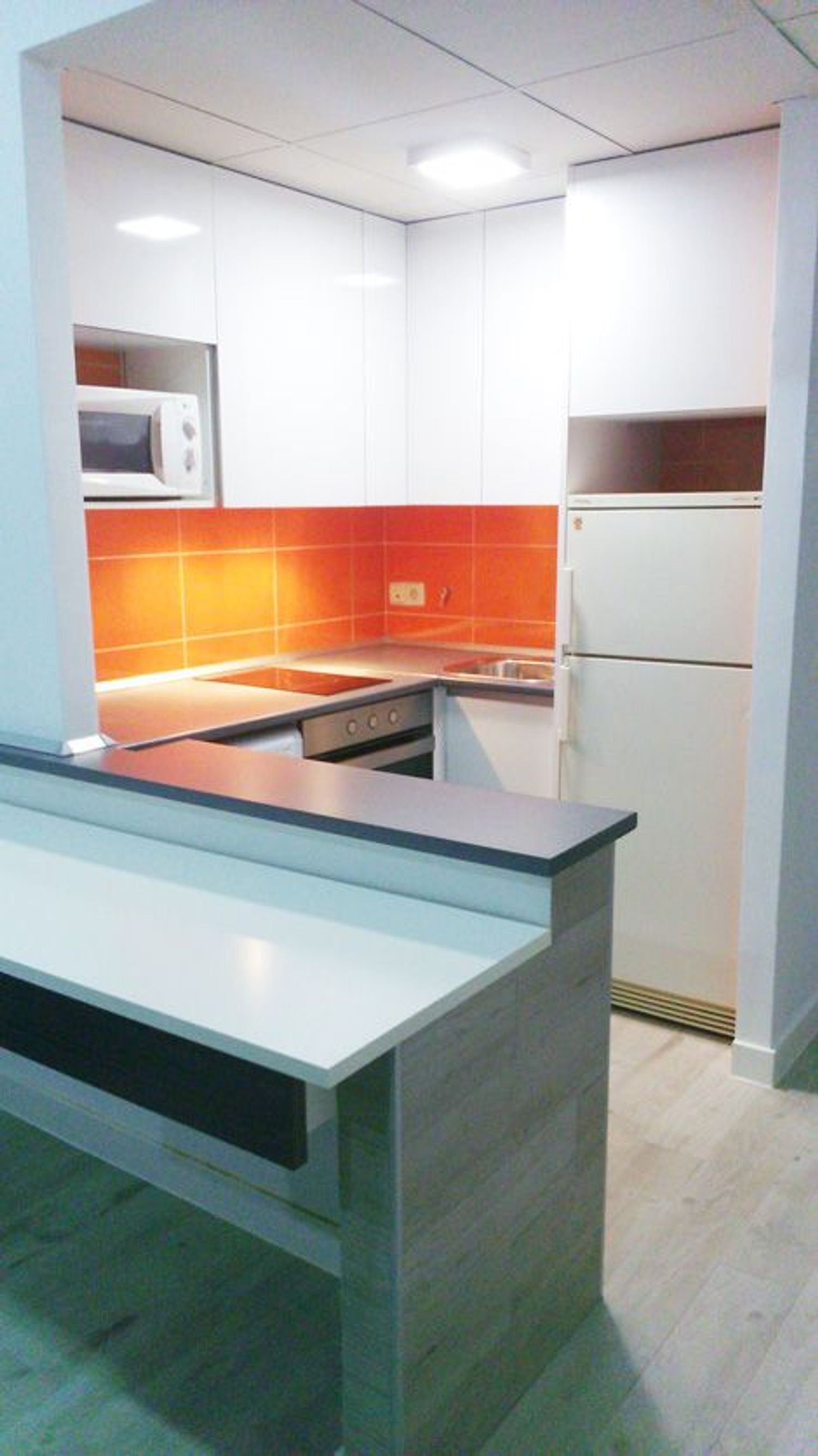 Pisos-Alquiler-Madrid-2092442-Foto-10