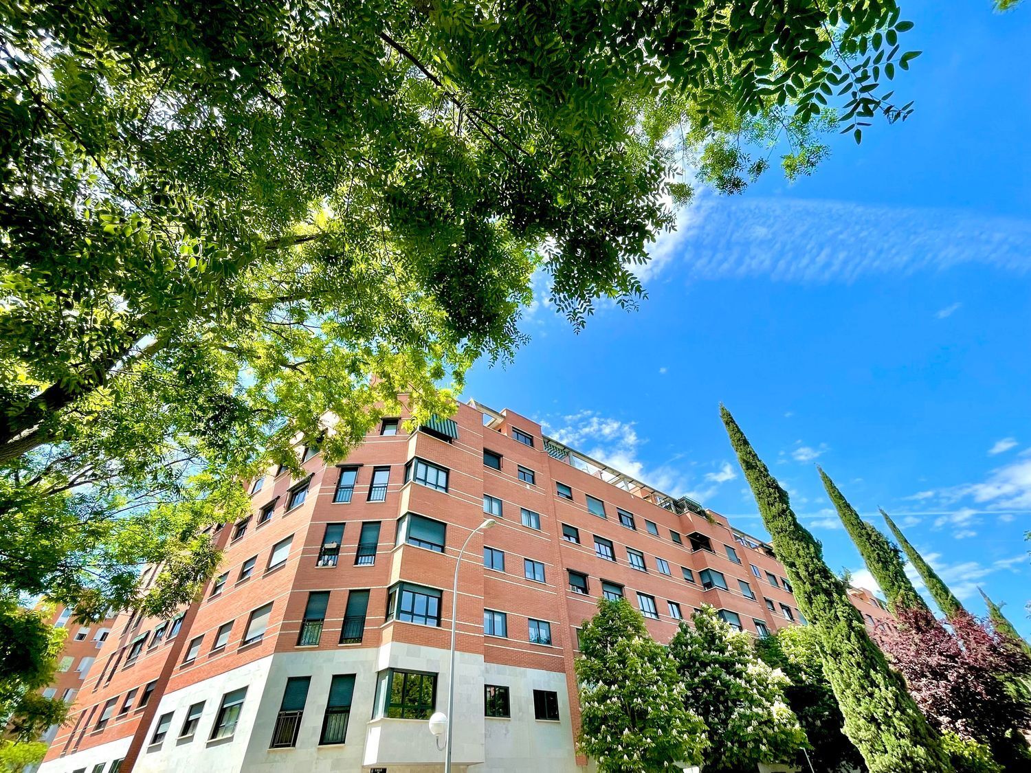 Pisos-Alquiler-Madrid-2092448-Foto-4