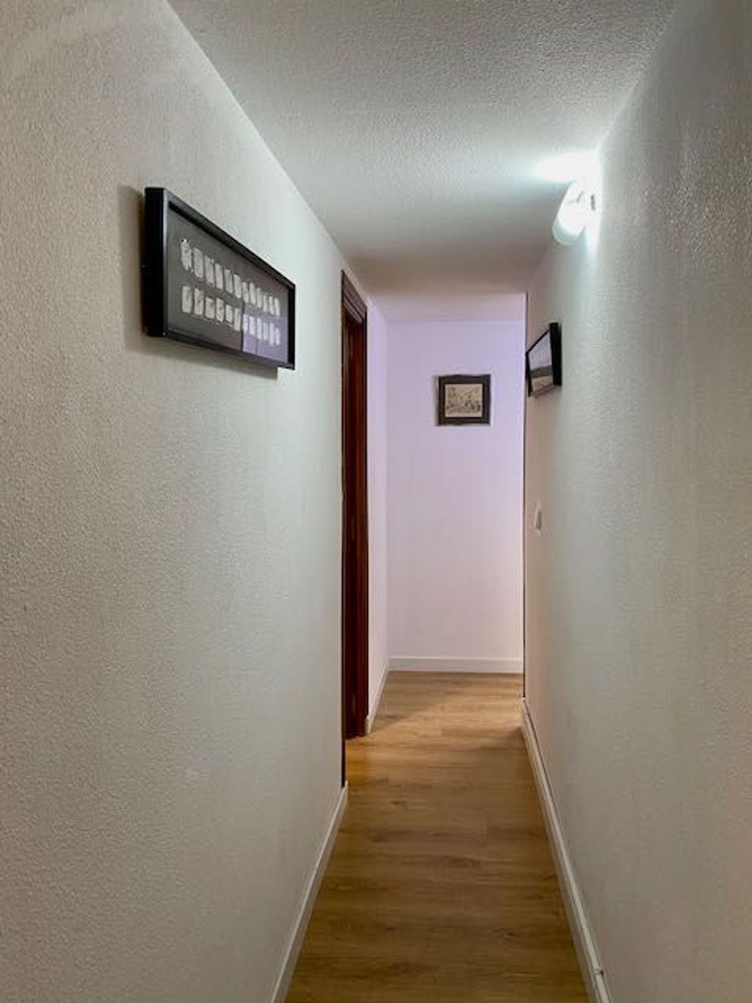 Propiedad en alquiler en Madrid, Madrid