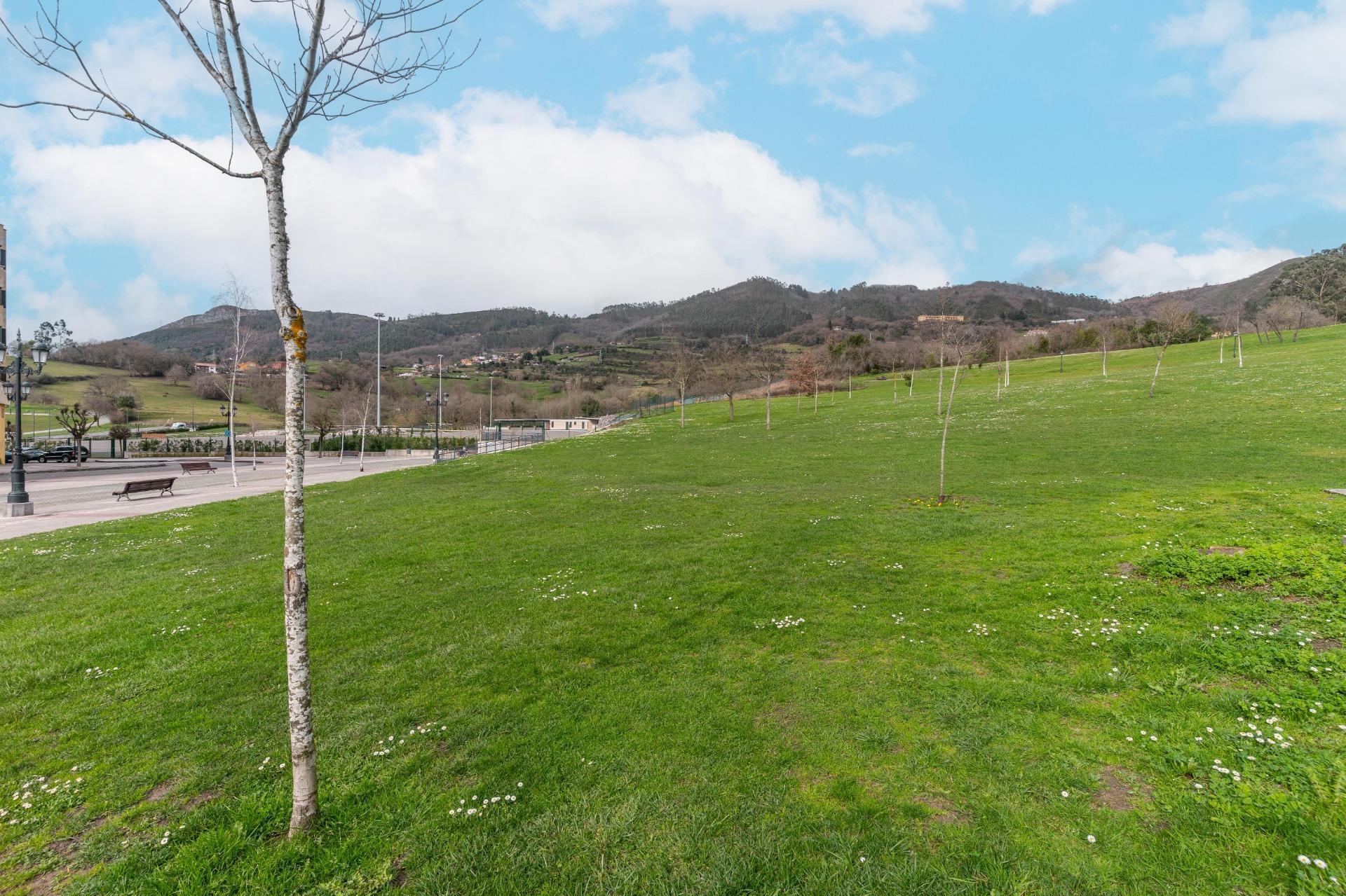 Pisos-Venta-Oviedo-2092457-Foto-44