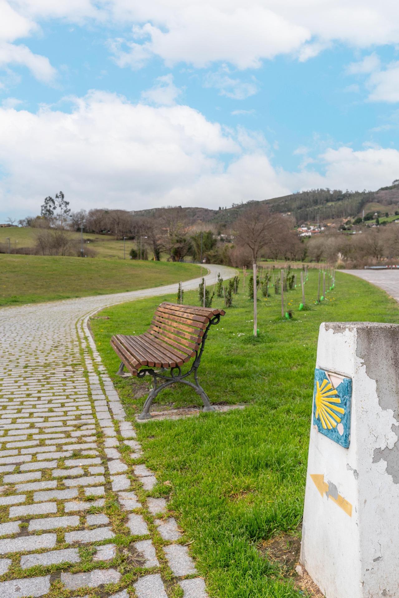 Pisos-Venta-Oviedo-2092457-Foto-46