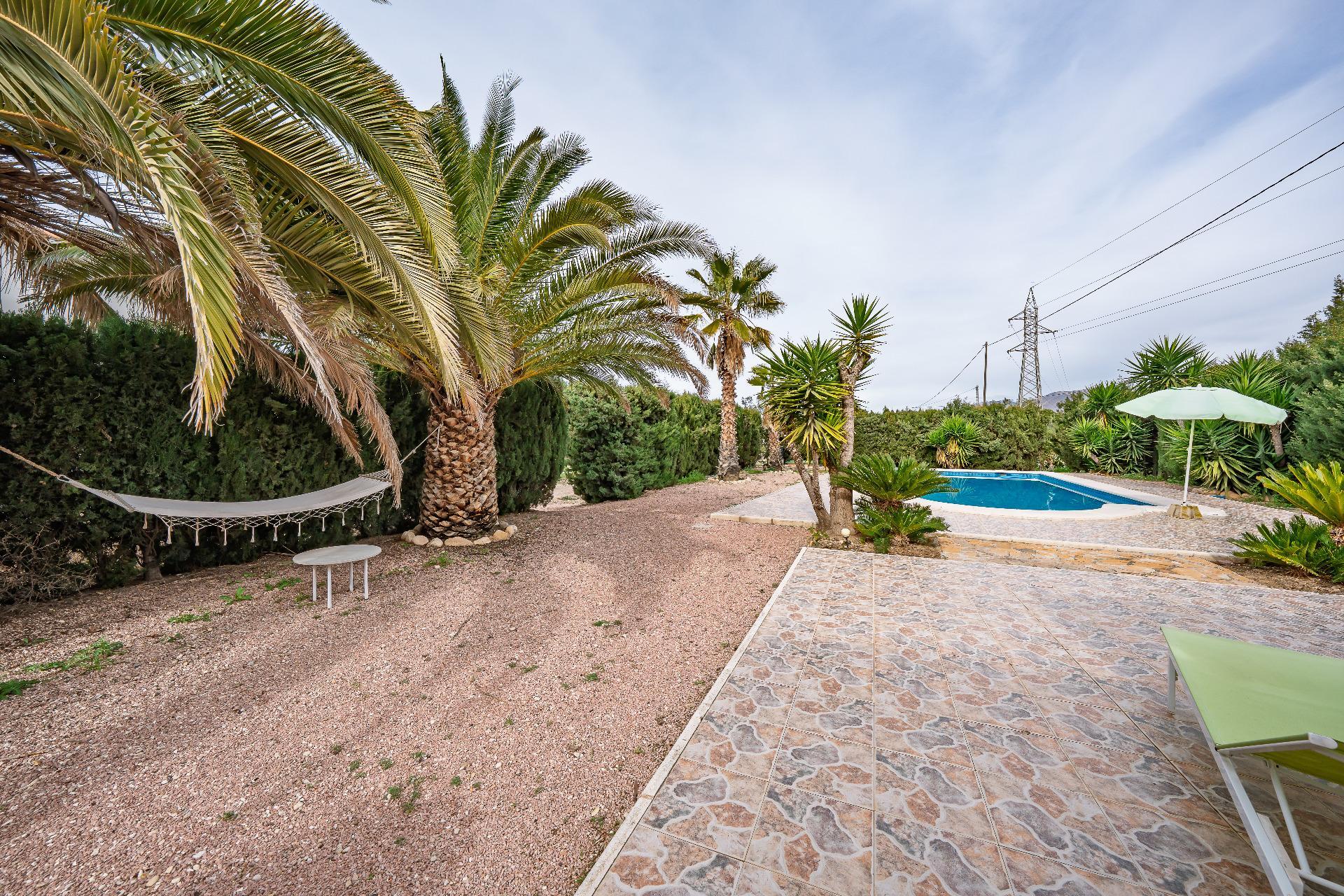 Casas o chalets-Venta-Novelda-2091884-Foto-27