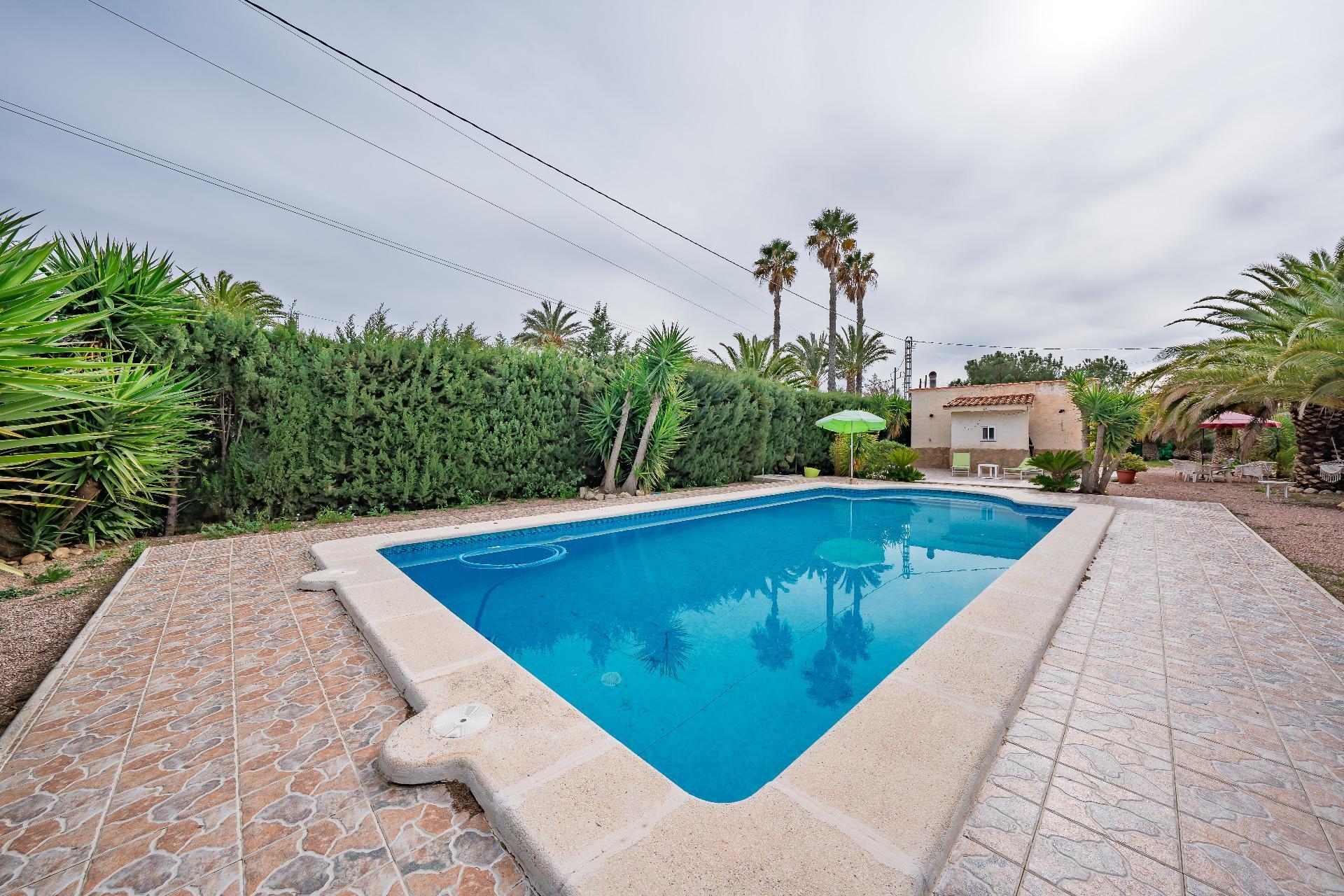 Casas o chalets-Venta-Novelda-2091884-Foto-29