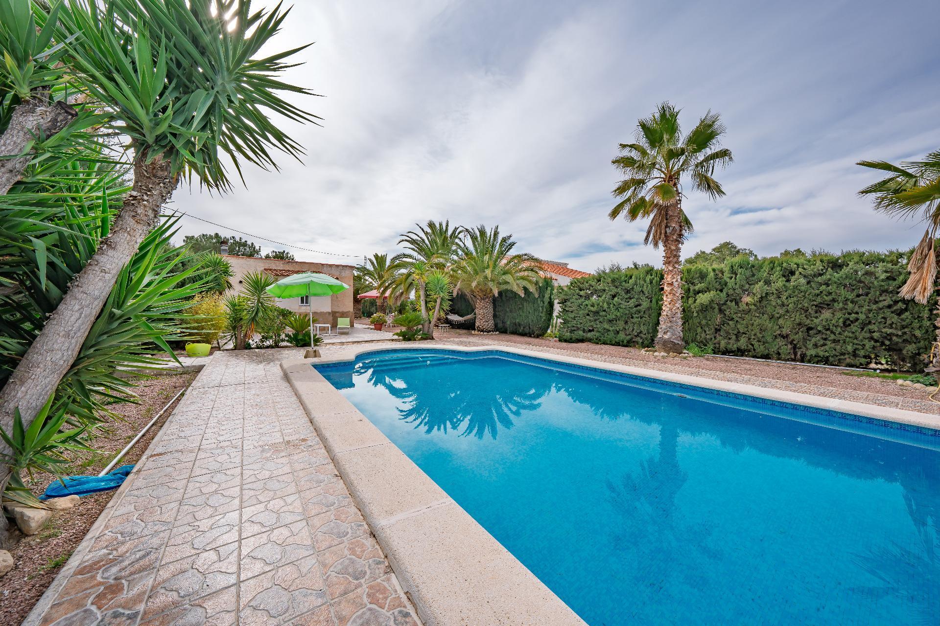 Casas o chalets-Venta-Novelda-2091884-Foto-30