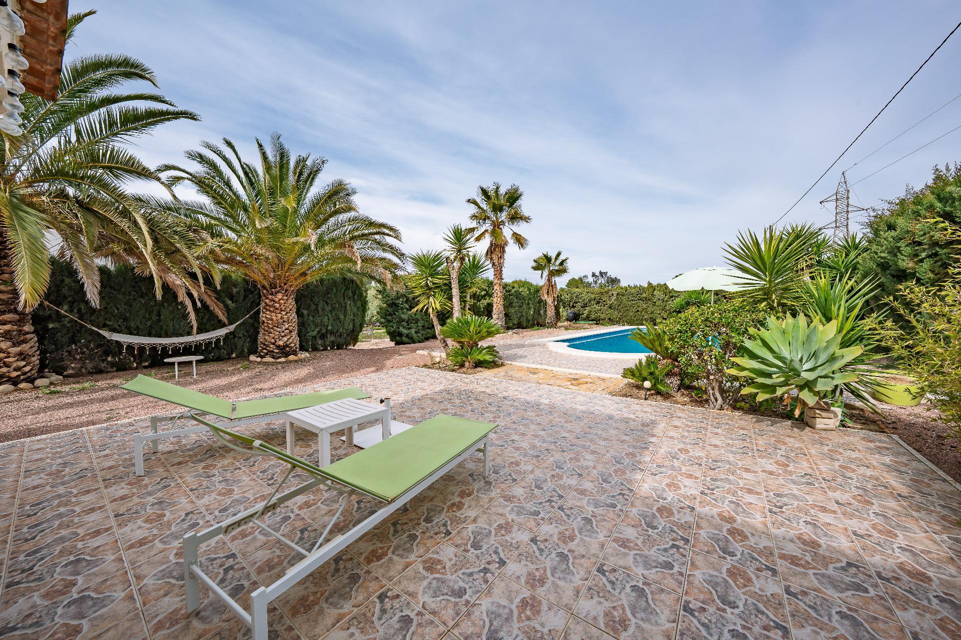 Casas o chalets-Venta-Novelda-2091884-Foto-32