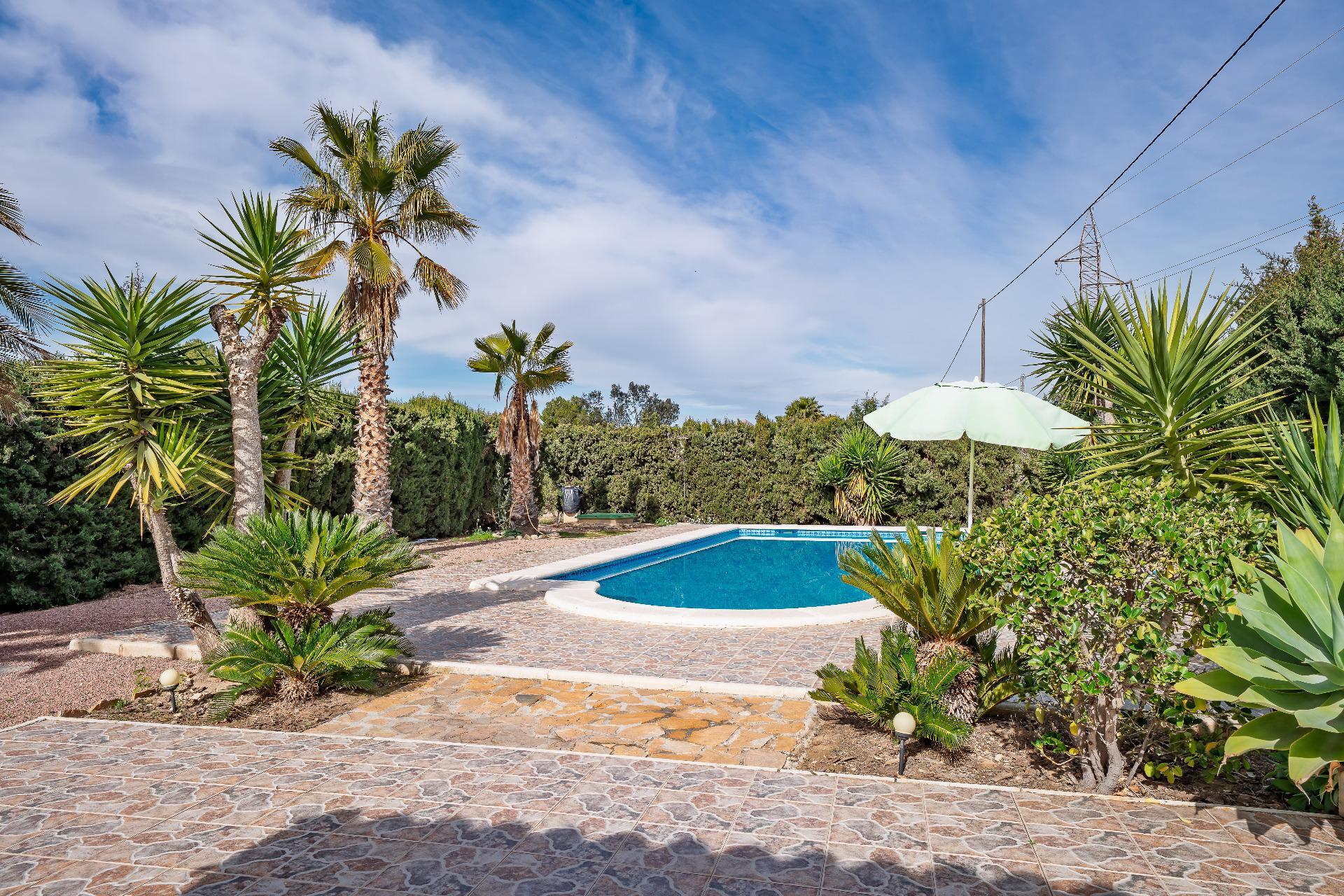 Casas o chalets-Venta-Novelda-2091884-Foto-37