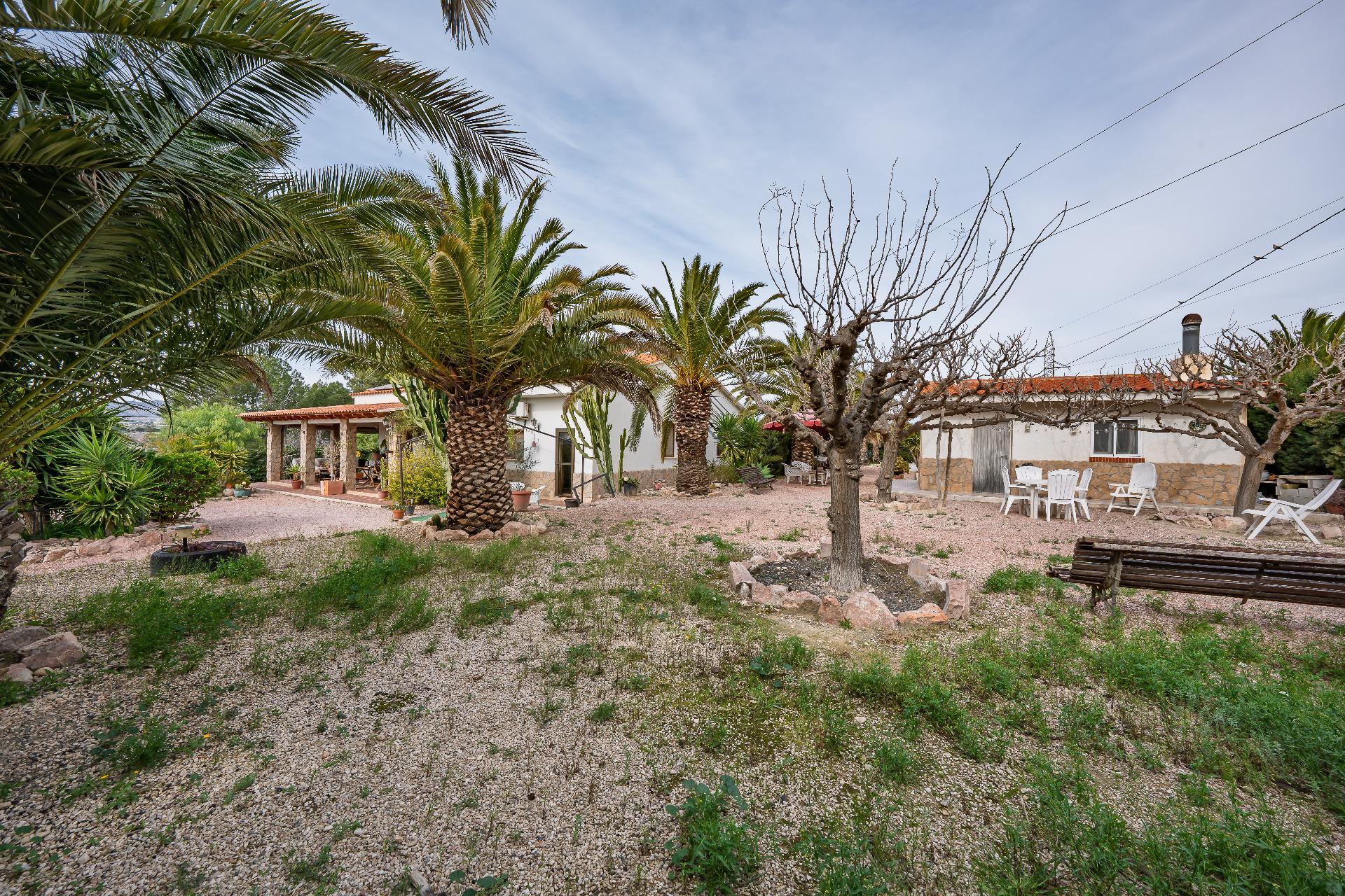 Casas o chalets-Venta-Novelda-2091884-Foto-35