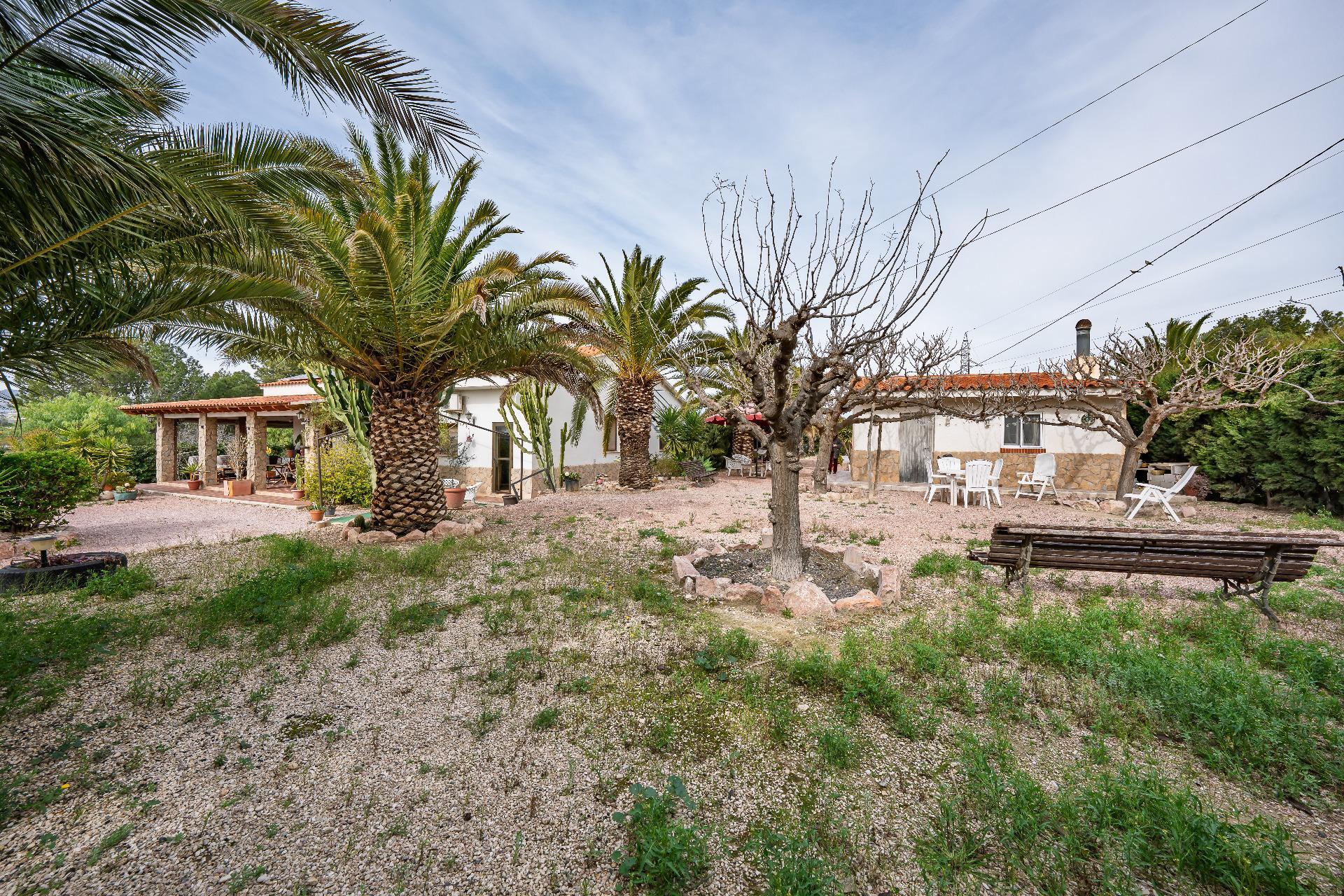 Casas o chalets-Venta-Novelda-2091884-Foto-36