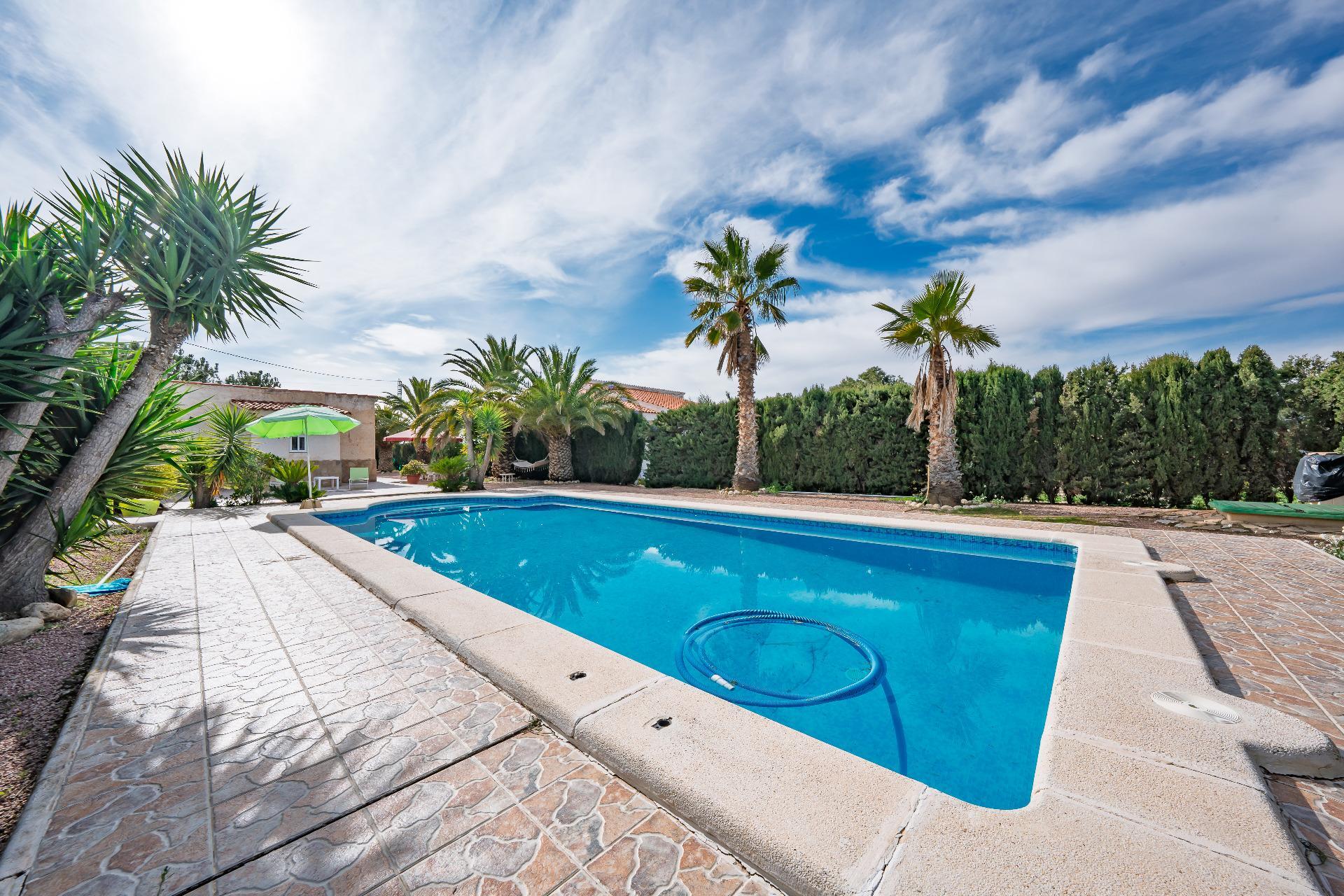 Casas o chalets-Venta-Novelda-2091884-Foto-40