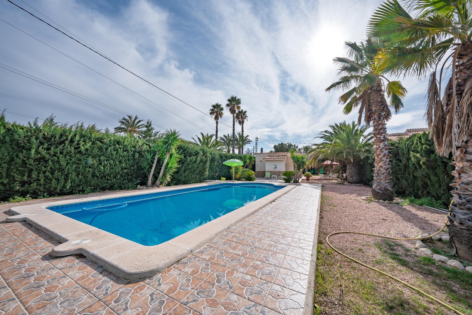 Casas o chalets-Venta-Novelda-2091884-Foto-41