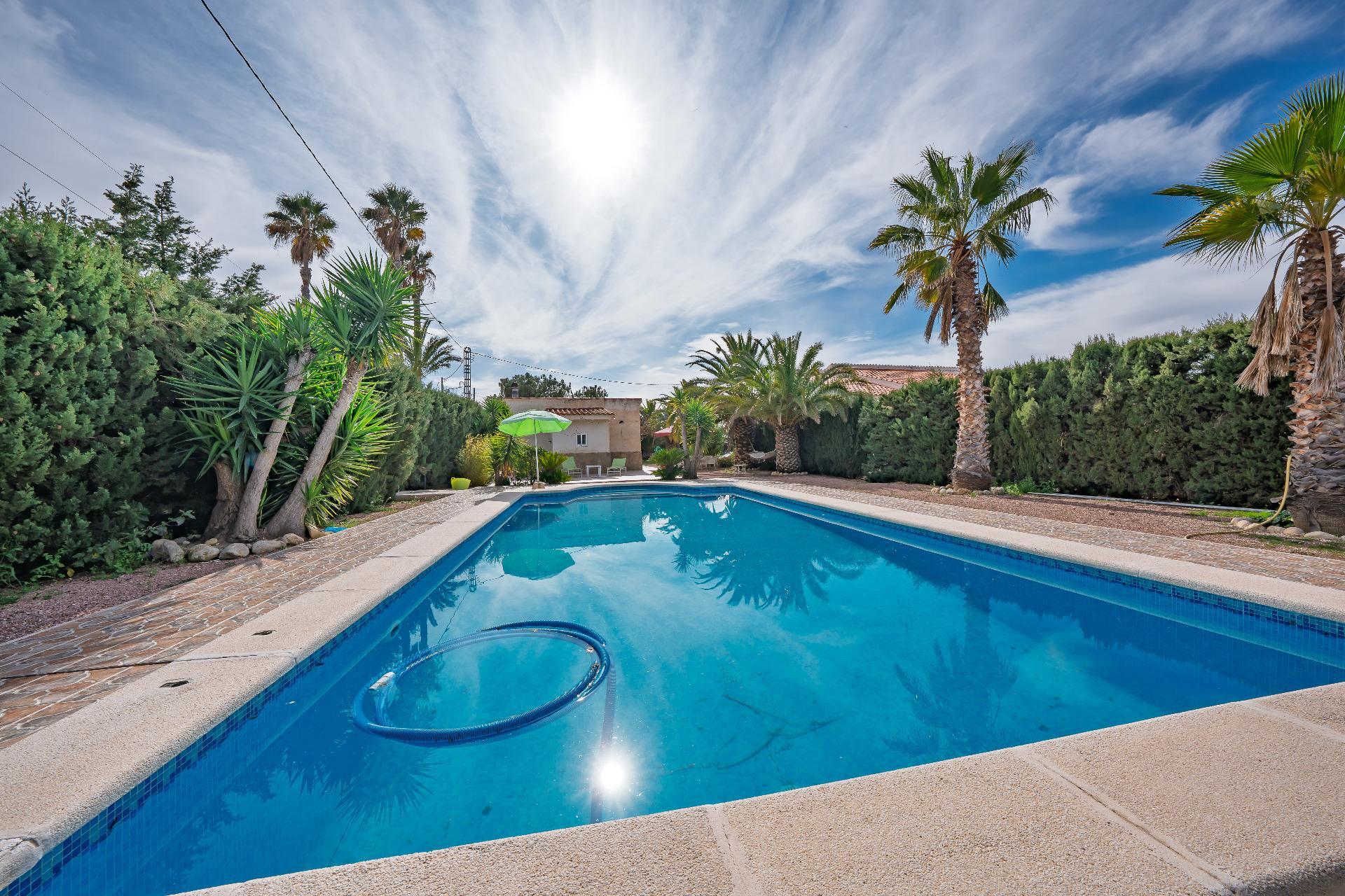 Casas o chalets-Venta-Novelda-2091884-Foto-39