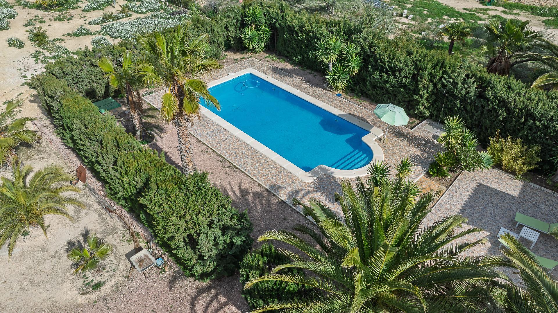 Casas o chalets-Venta-Novelda-2091884-Foto-42