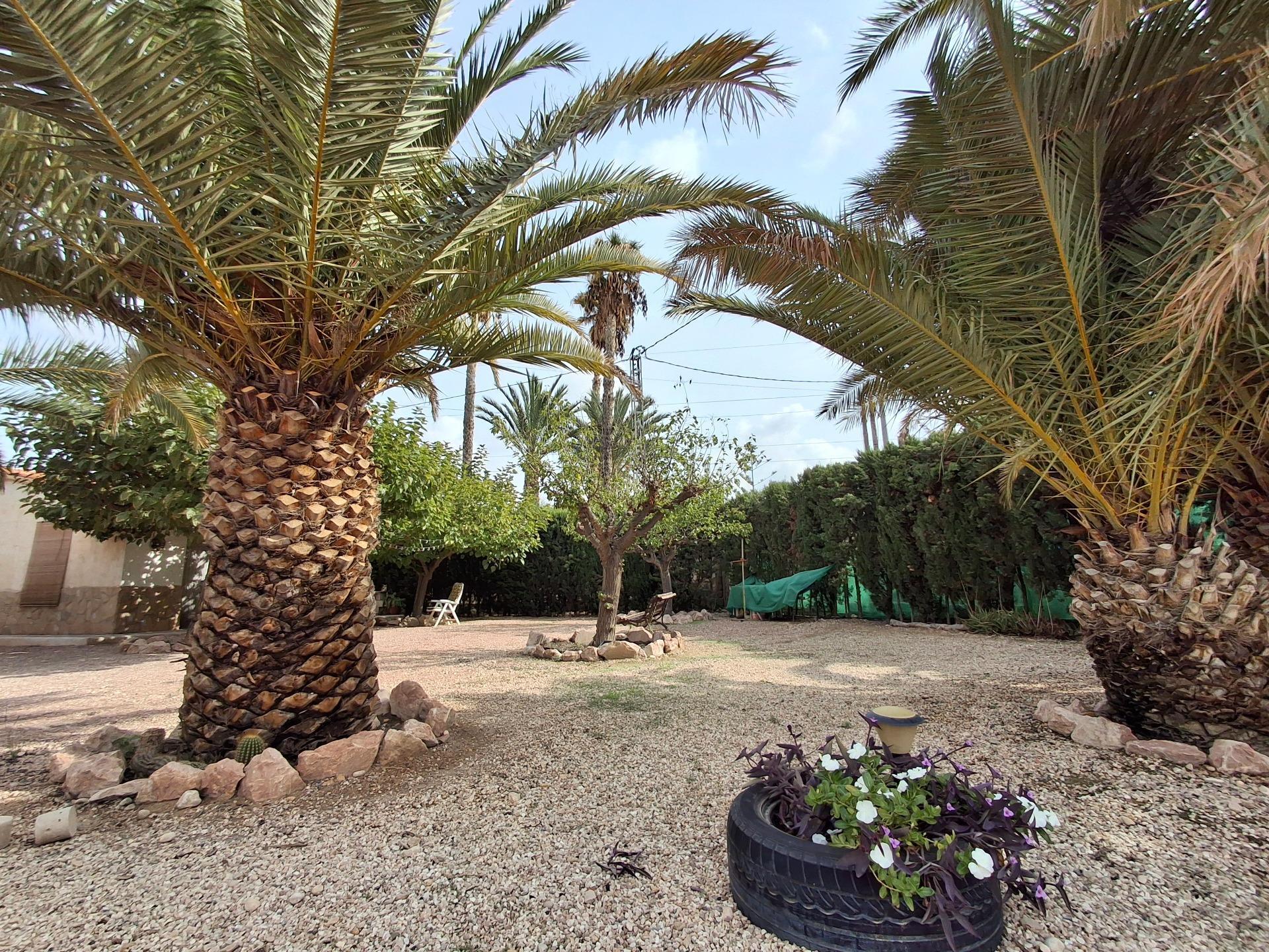 Casas o chalets-Venta-Novelda-2091884-Foto-44