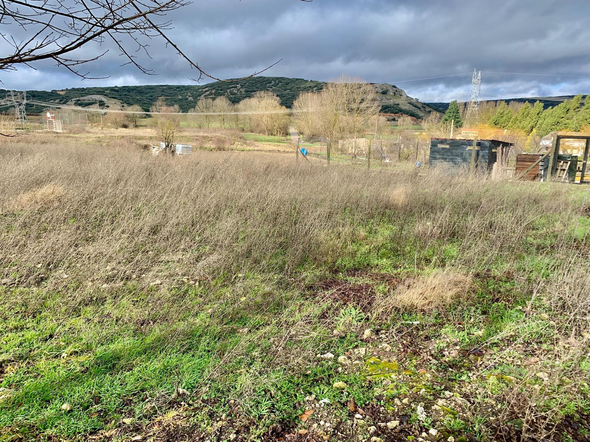 Casas o chalets-Venta-Valle de las Navas-1067878-Foto-45