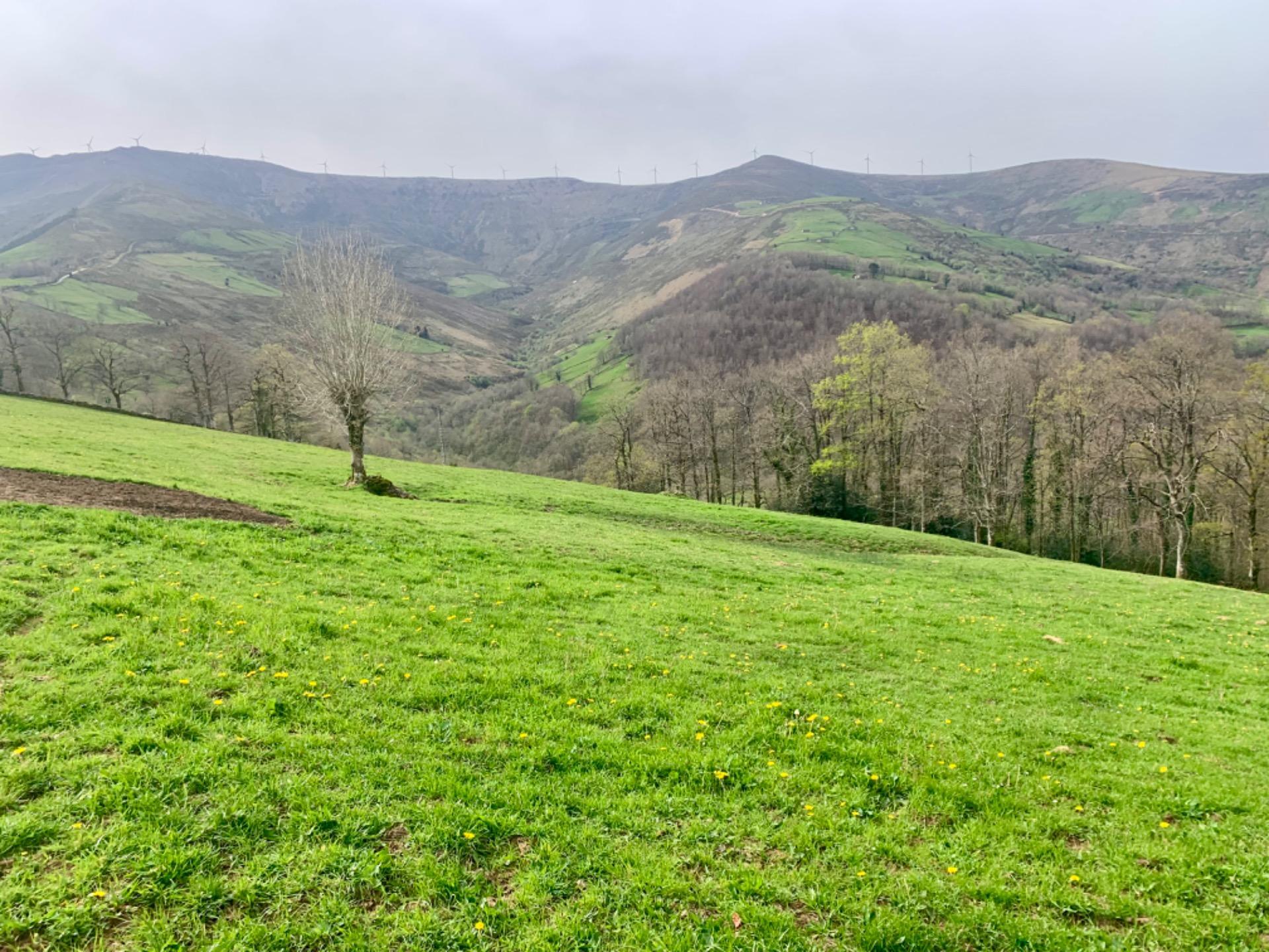 Casas o chalets-Venta-San Pedro del Romeral-1070693-Foto-8