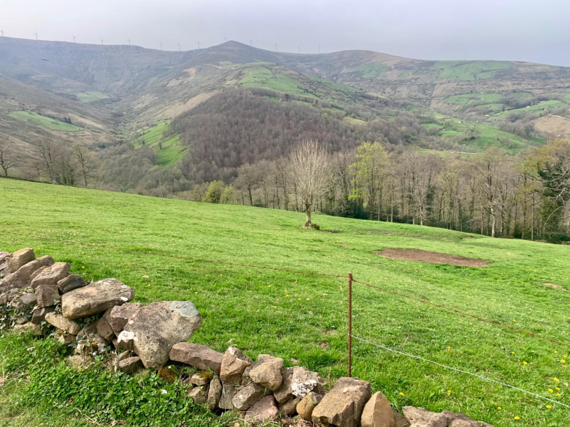 Casas o chalets-Venta-San Pedro del Romeral-1070693-Foto-13