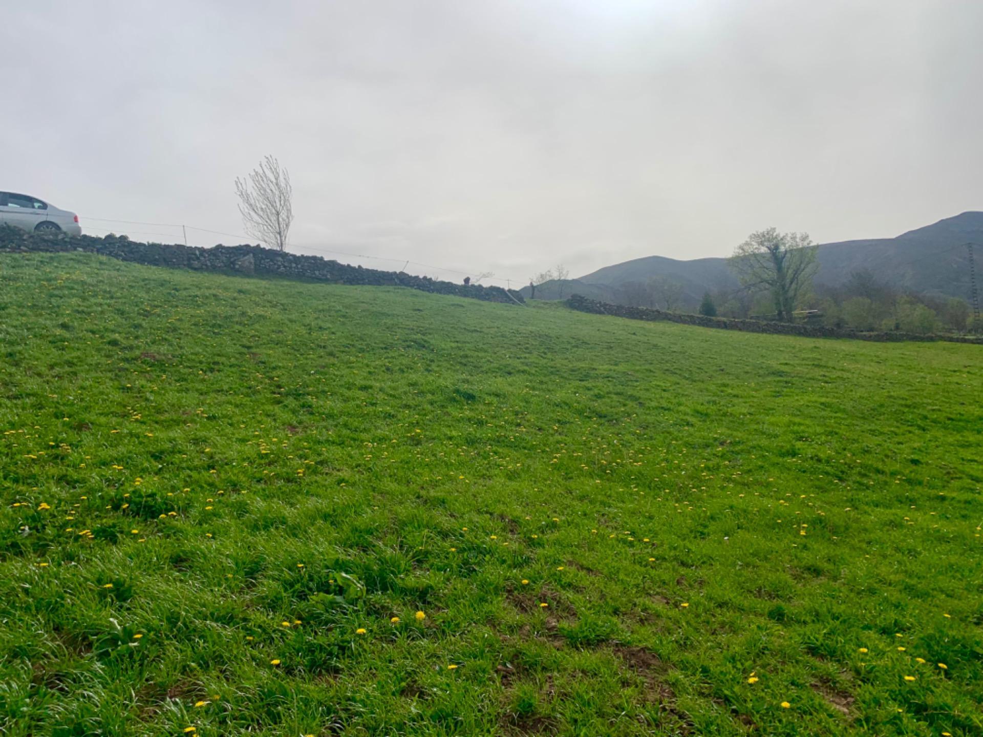 Casas o chalets-Venta-San Pedro del Romeral-1070693-Foto-15