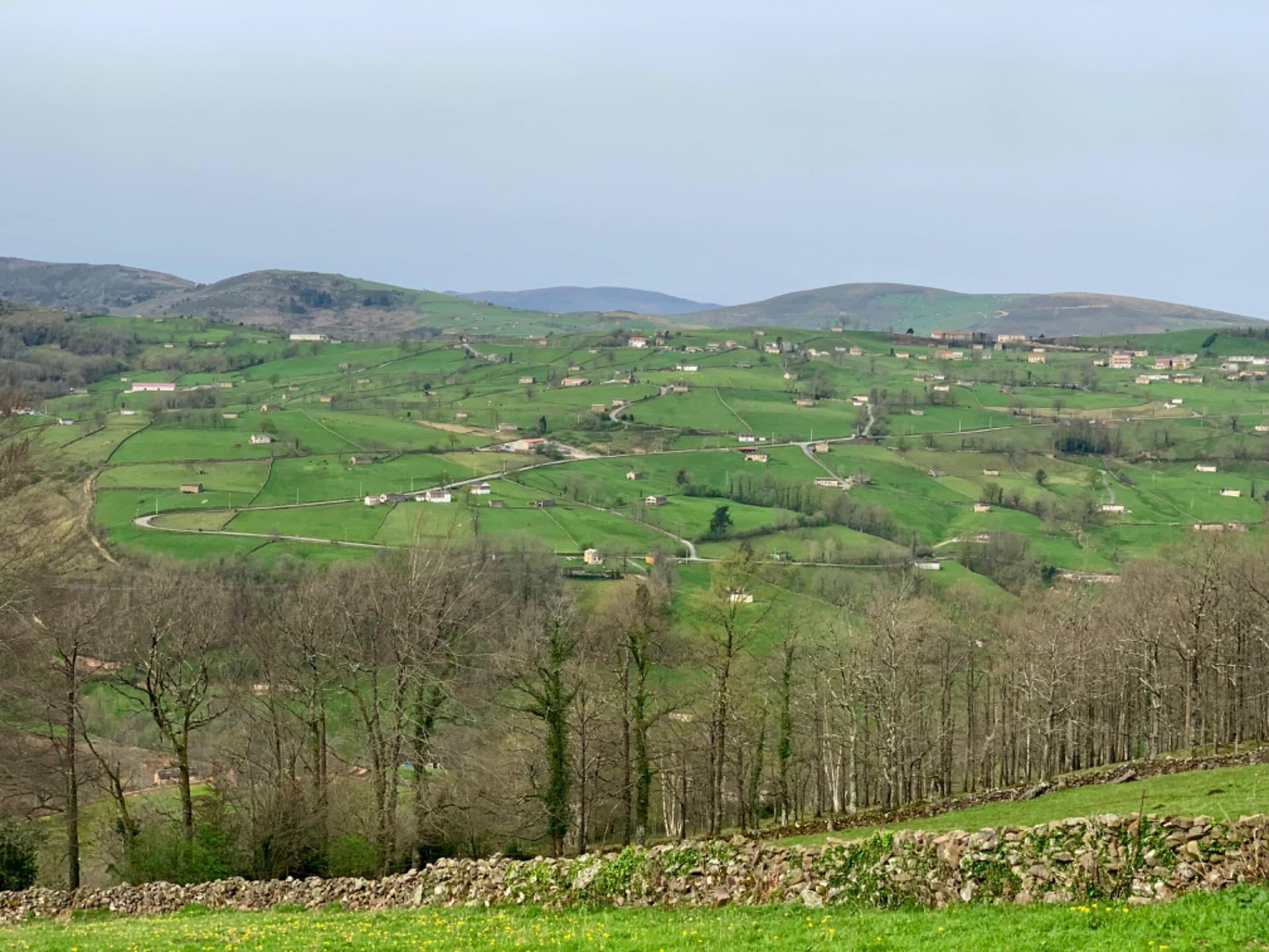 Casas o chalets-Venta-San Pedro del Romeral-1070693-Foto-16