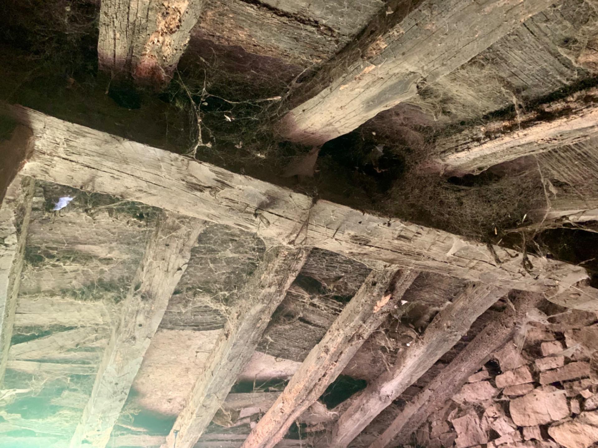 Casas o chalets-Venta-San Pedro del Romeral-1070693-Foto-25