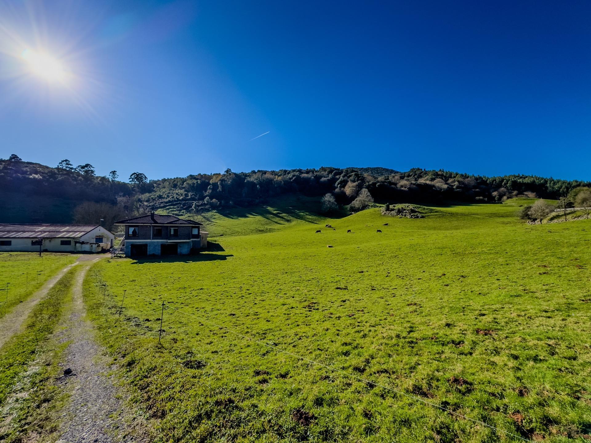 Casas o chalets-Venta-Hazas de Cesto-1537988-Foto-44