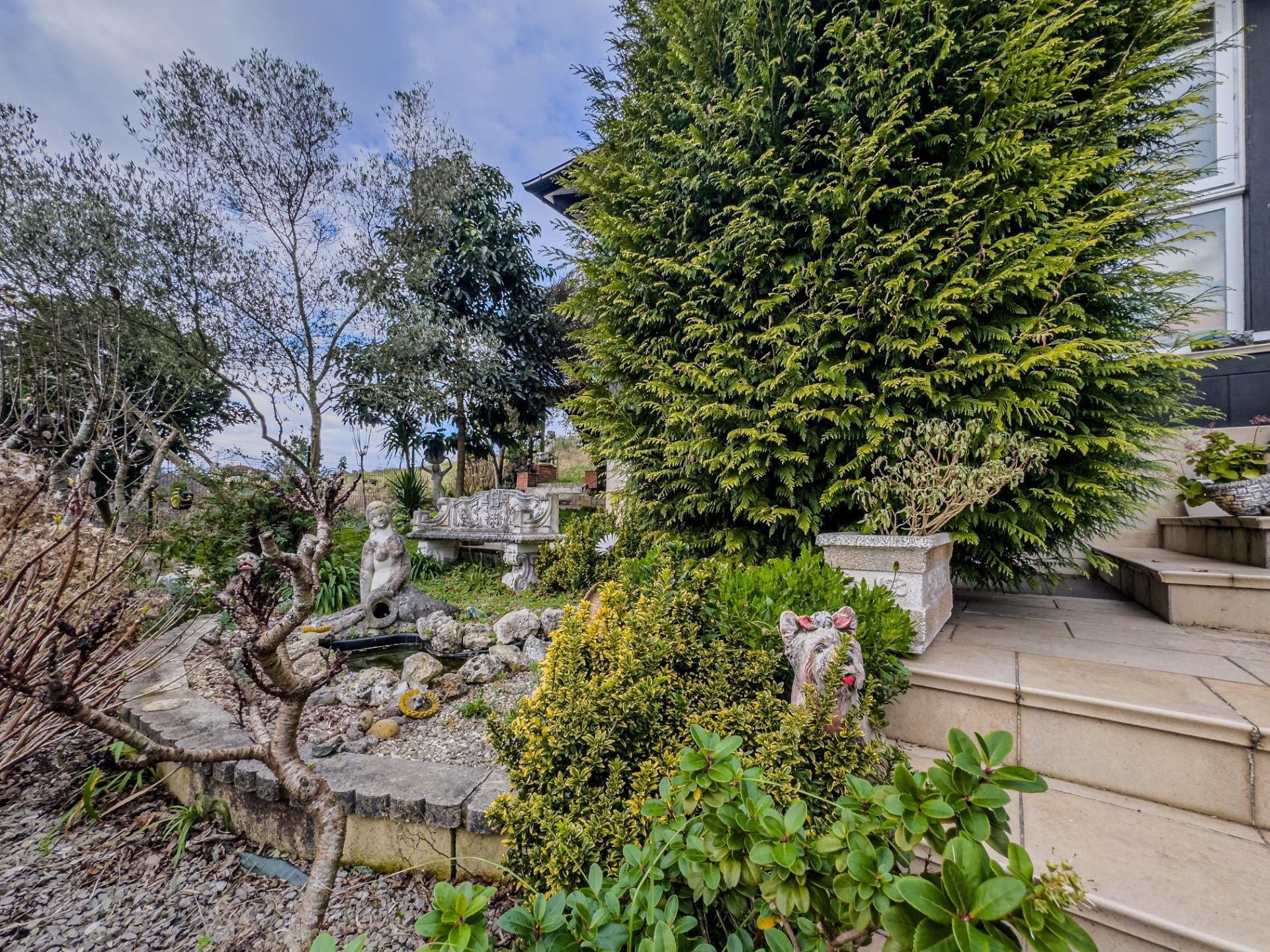 Casas o chalets-Venta-Meruelo-1585506-Foto-66