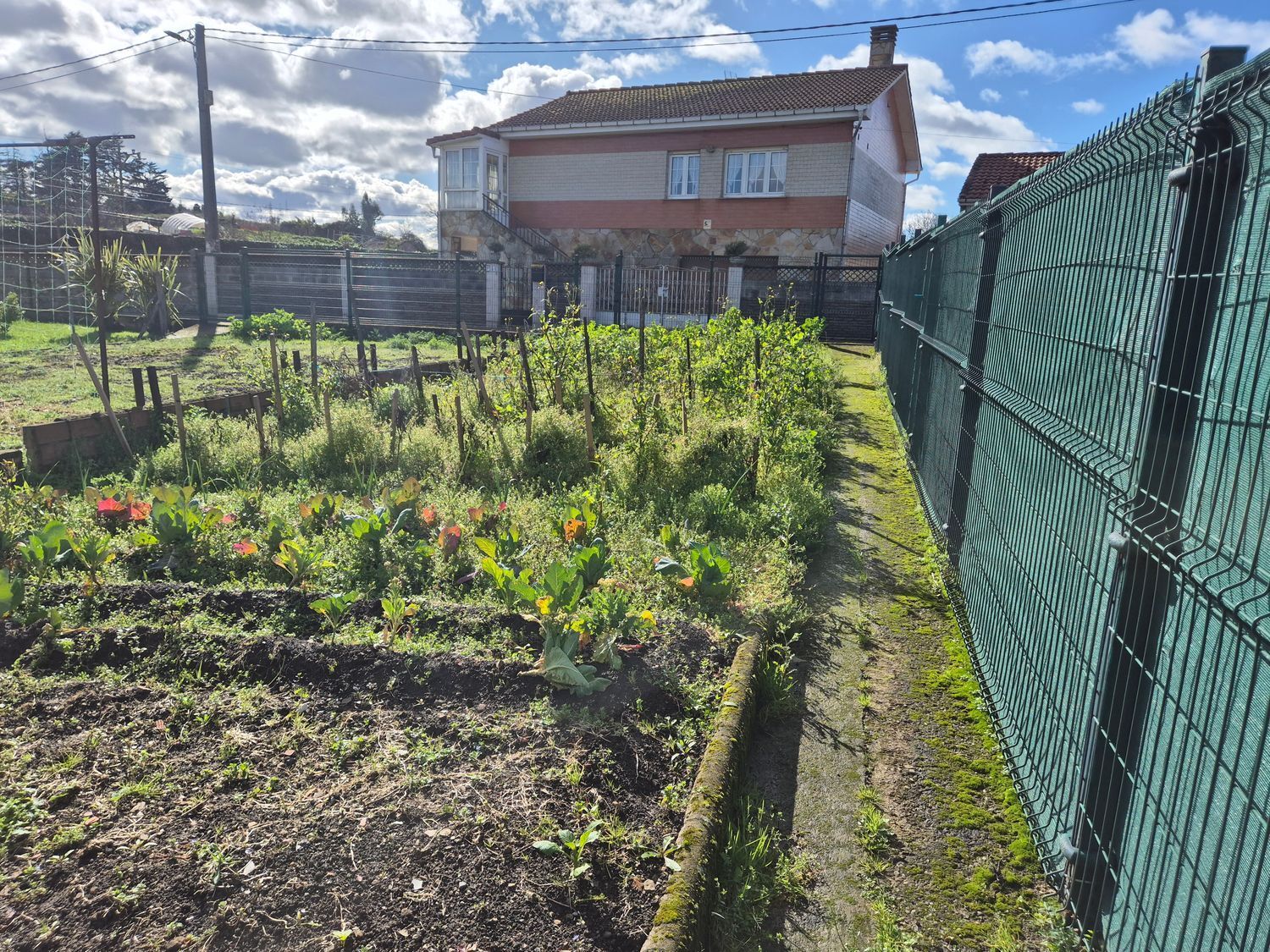 Casas o chalets-Venta-GijÃ³n-2092510-Foto-29