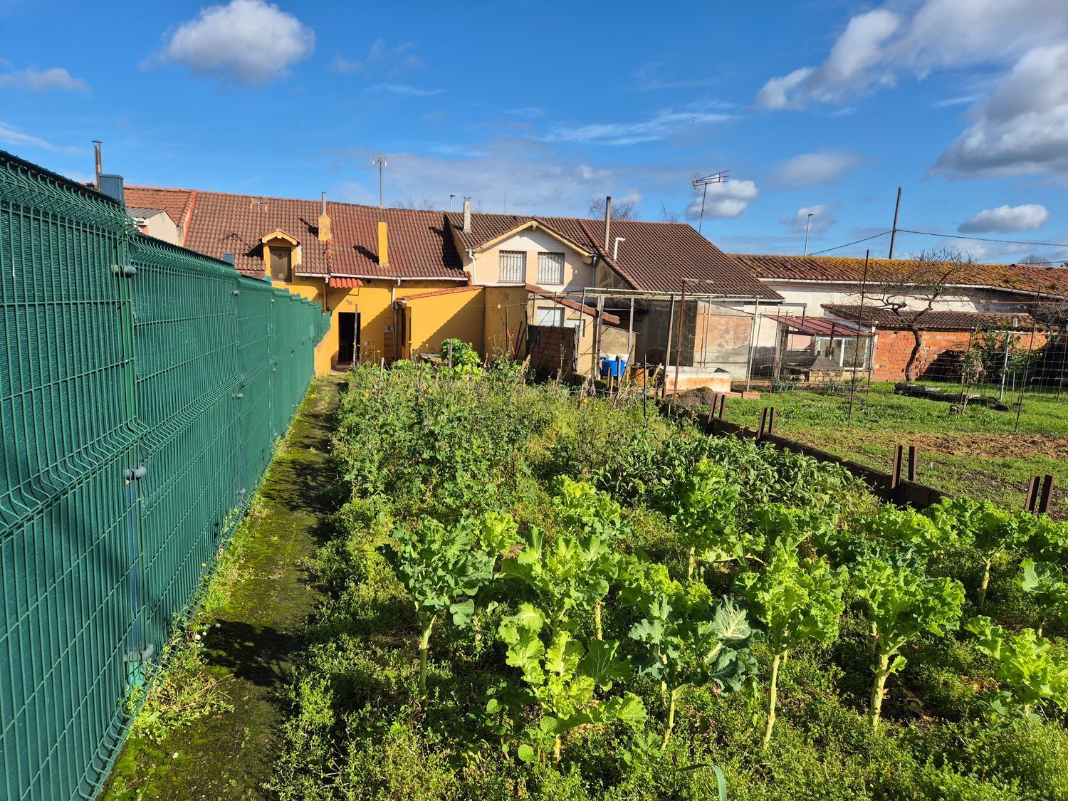 Casas o chalets-Venta-GijÃ³n-2092510-Foto-30