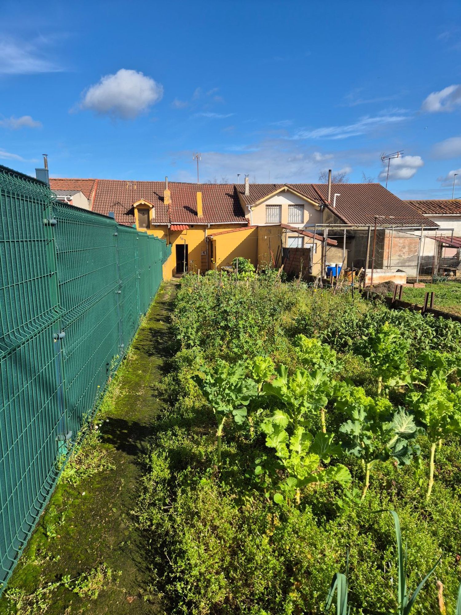 Casas o chalets-Venta-GijÃ³n-2092510-Foto-31