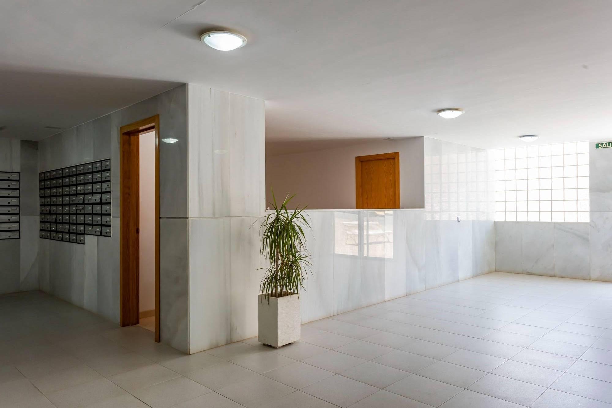 Pisos-Venta-VÃ­car-2092463-Foto-52