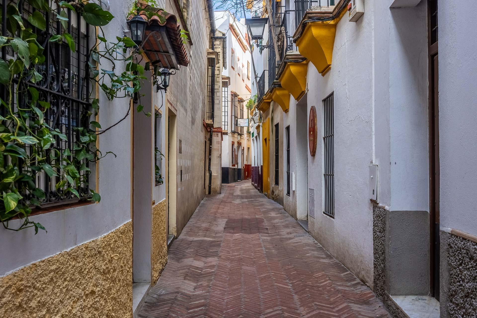 Casas o chalets-Venta-Burguillos-2092757-Foto-19