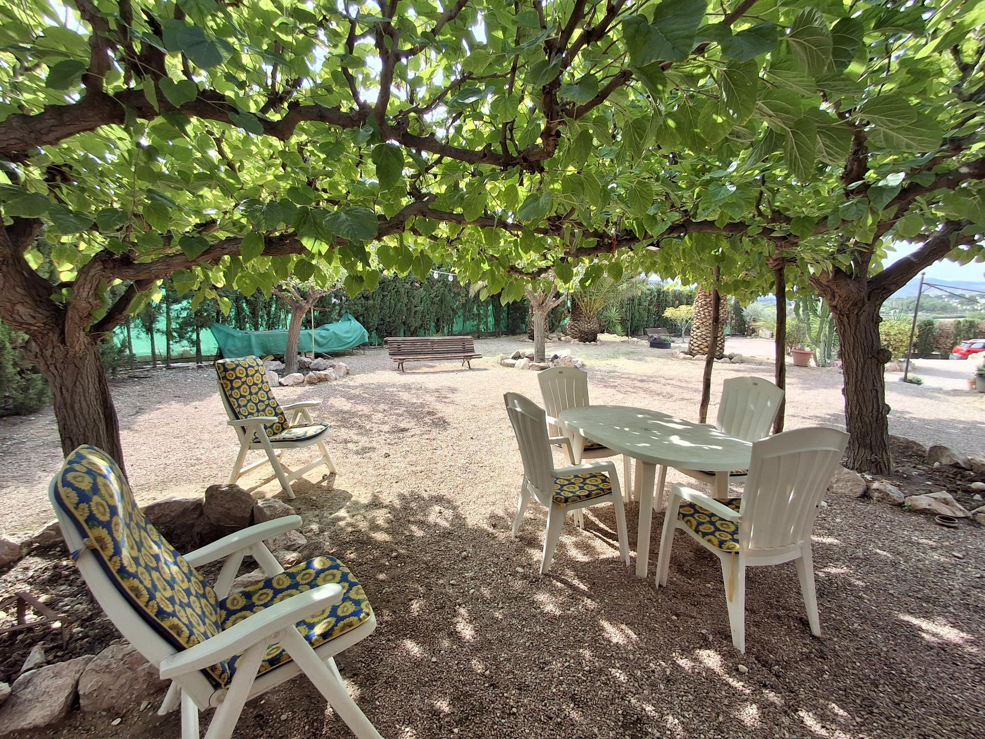 Casas o chalets-Venta-Novelda-2091884-Foto-38