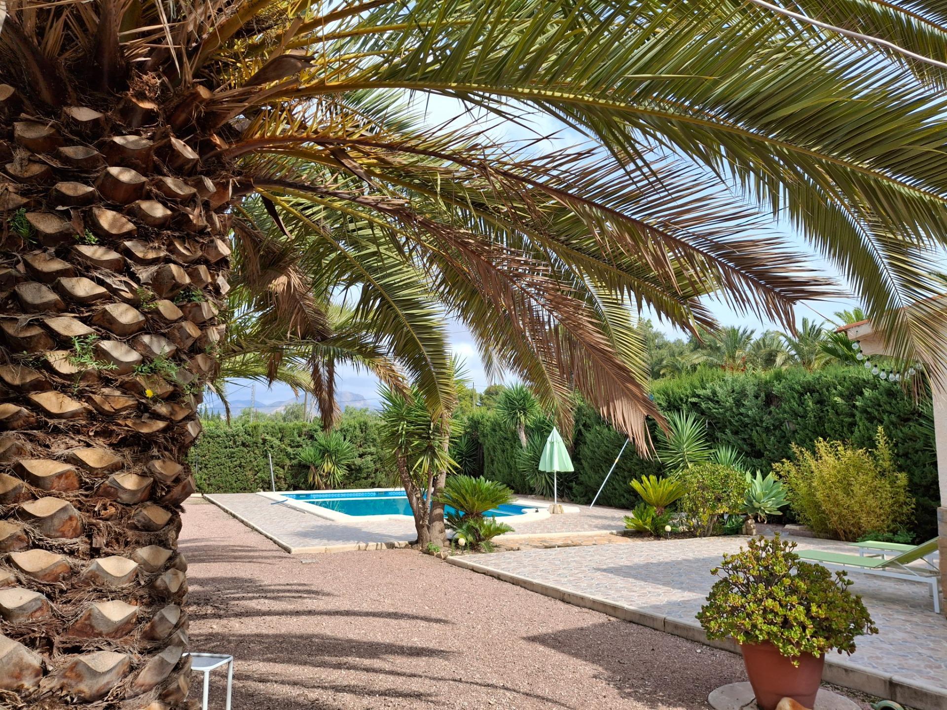 Casas o chalets-Venta-Novelda-2091884-Foto-39