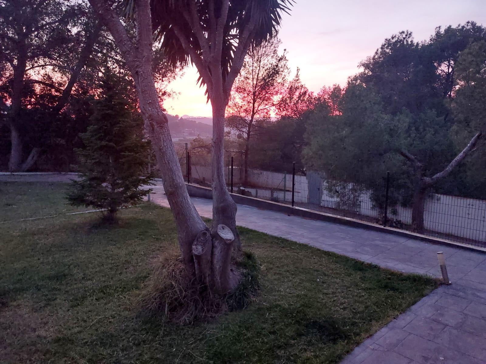 Casas o chalets-Venta-Quart de les Valls-1893247-Foto-13