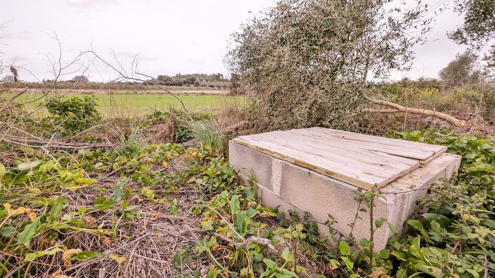 Fincas y solares-Venta-Muro de Alcoy-2092814-Foto-4