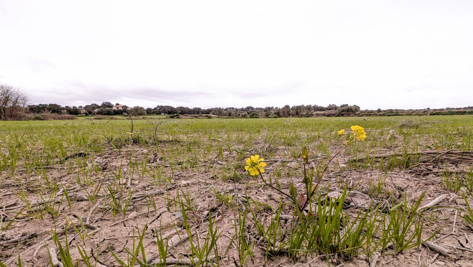 Fincas y solares-Venta-Muro de Alcoy-2092814-Foto-2