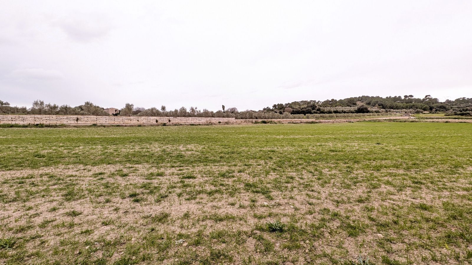 Fincas y solares-Venta-Muro de Alcoy-2092814-Foto-3